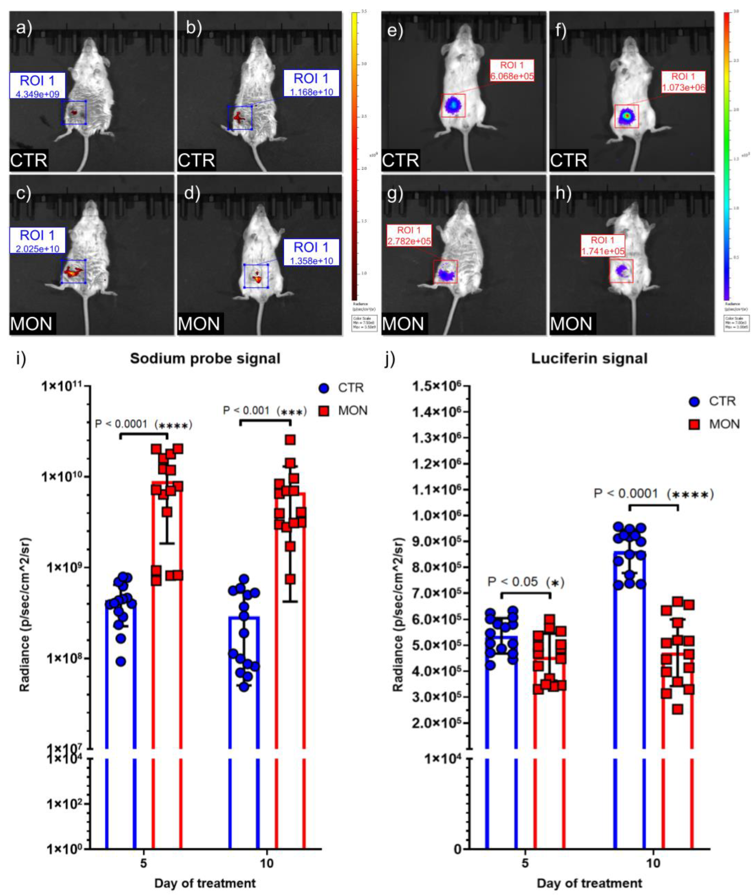 Preprints 141969 g004