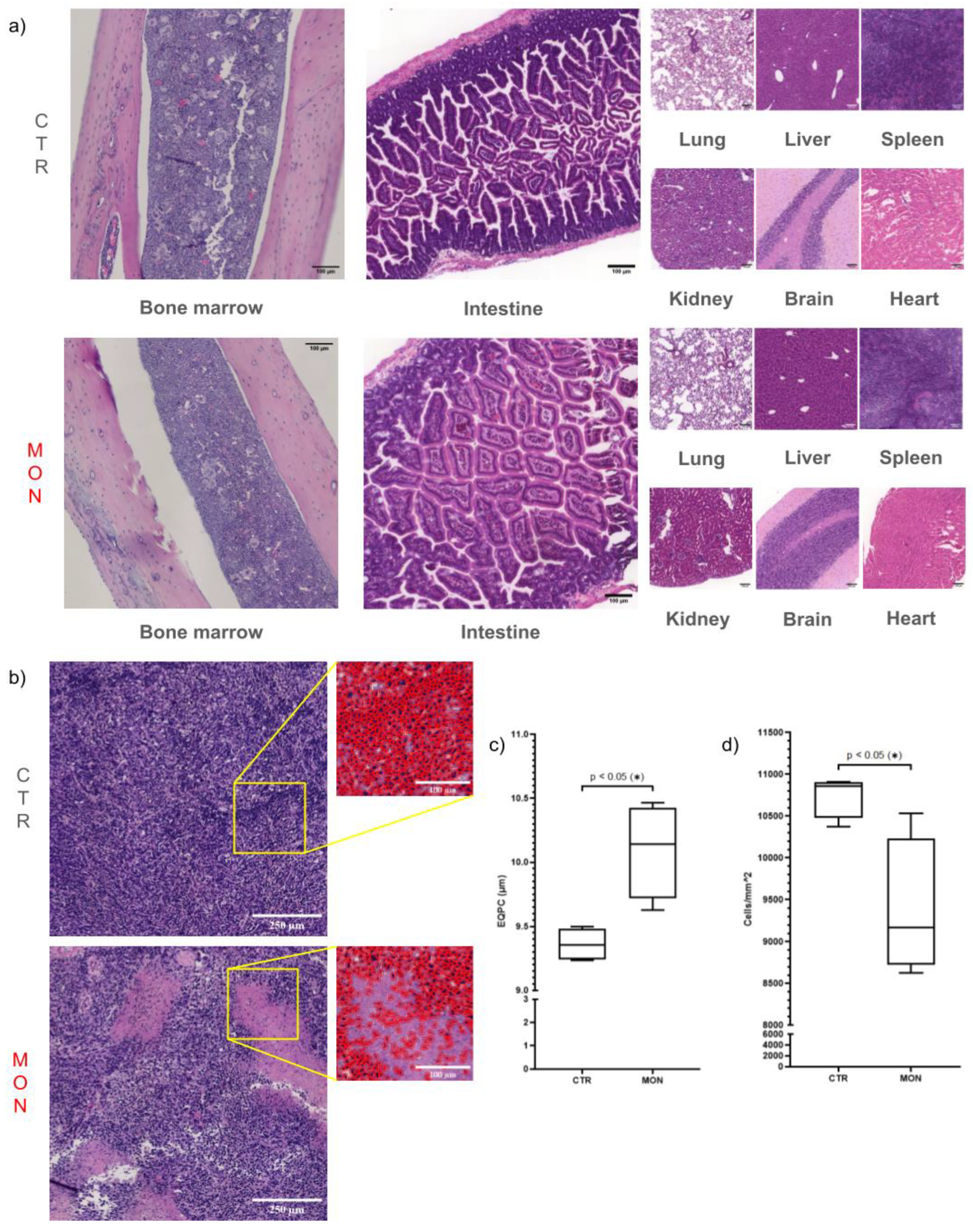 Preprints 141969 g005