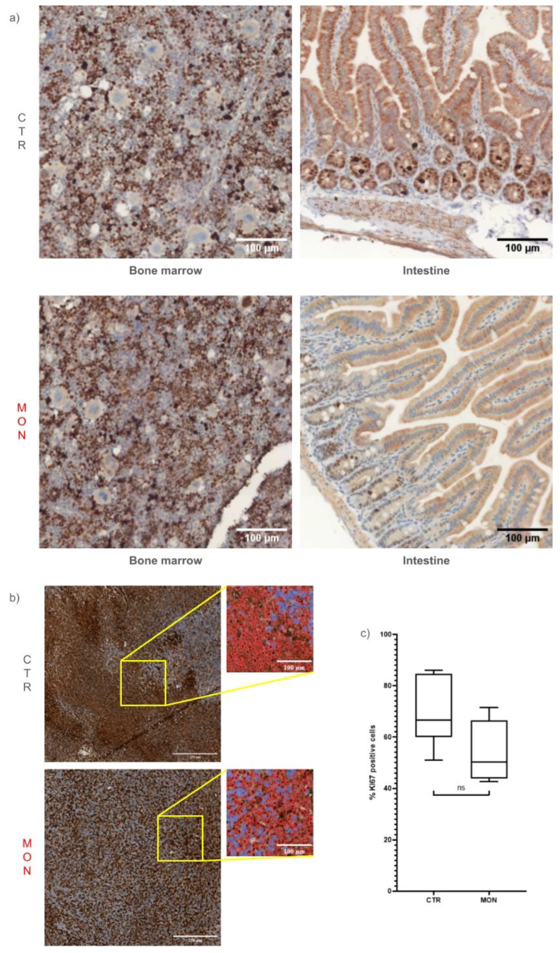 Preprints 141969 g006