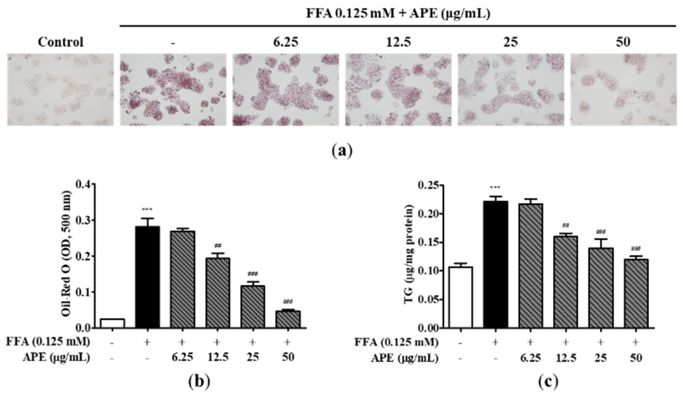 Preprints 84522 g003