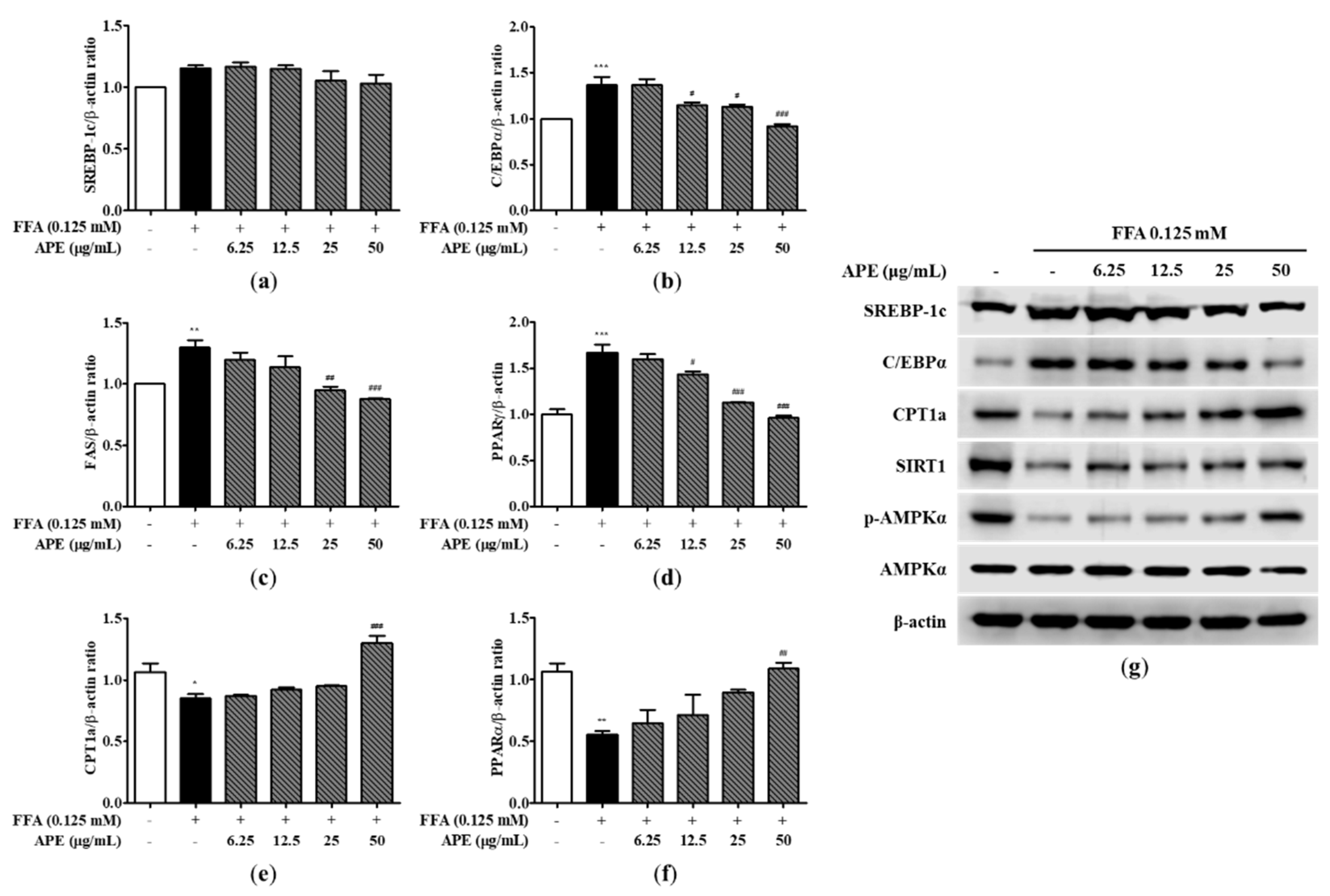 Preprints 84522 g004