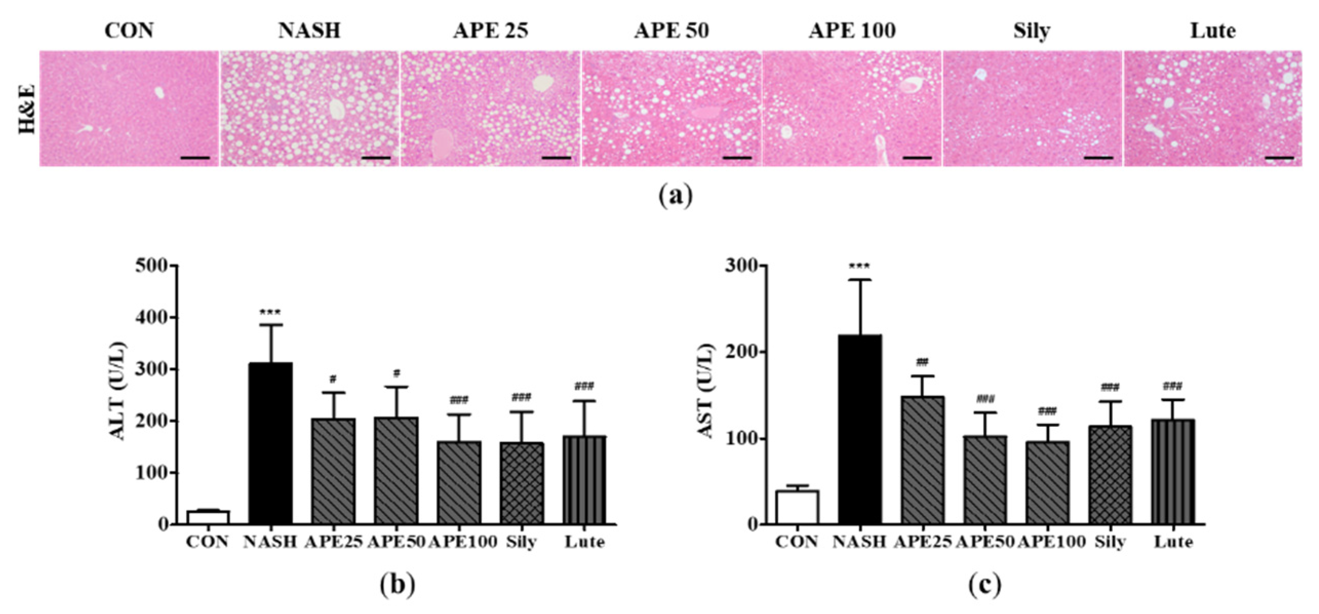 Preprints 84522 g006