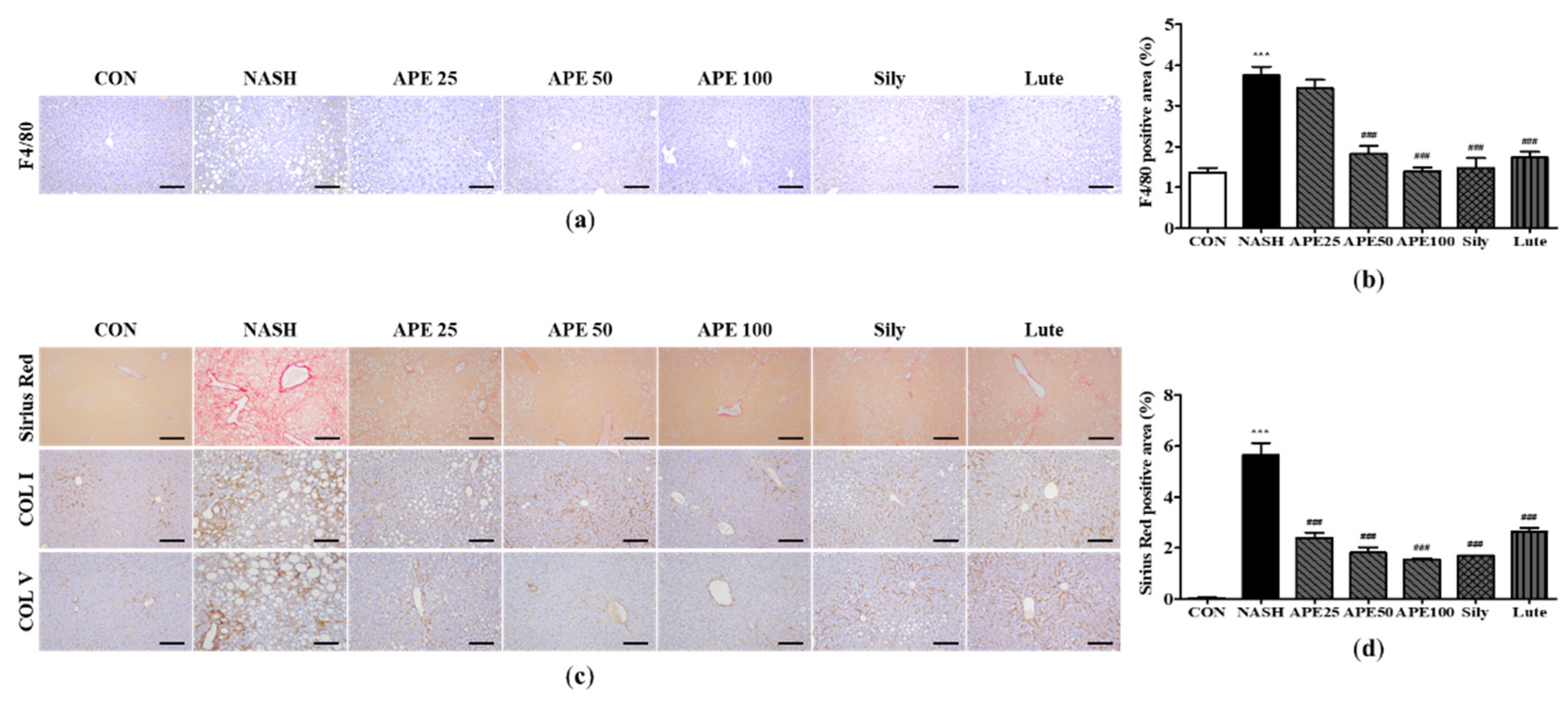 Preprints 84522 g007