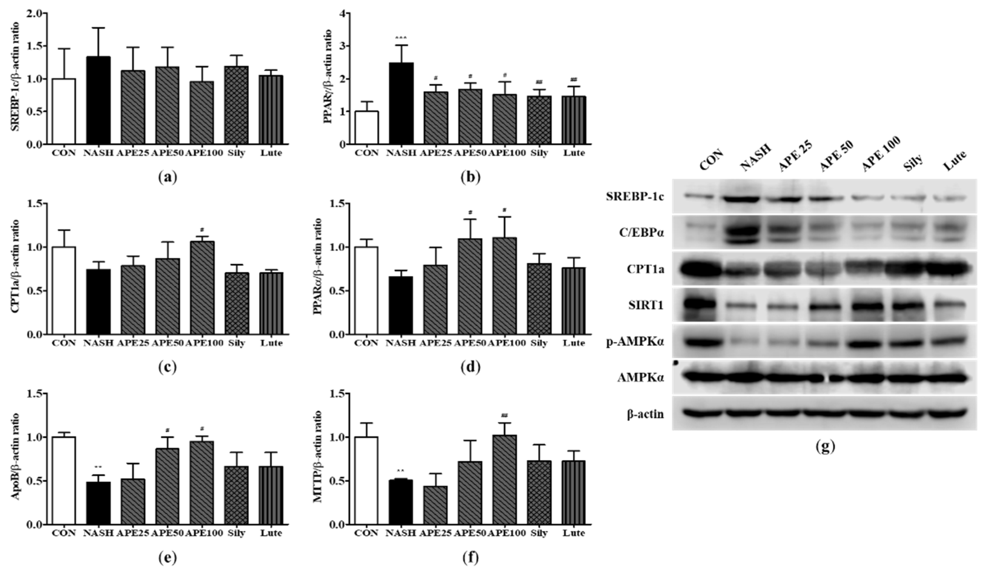 Preprints 84522 g008