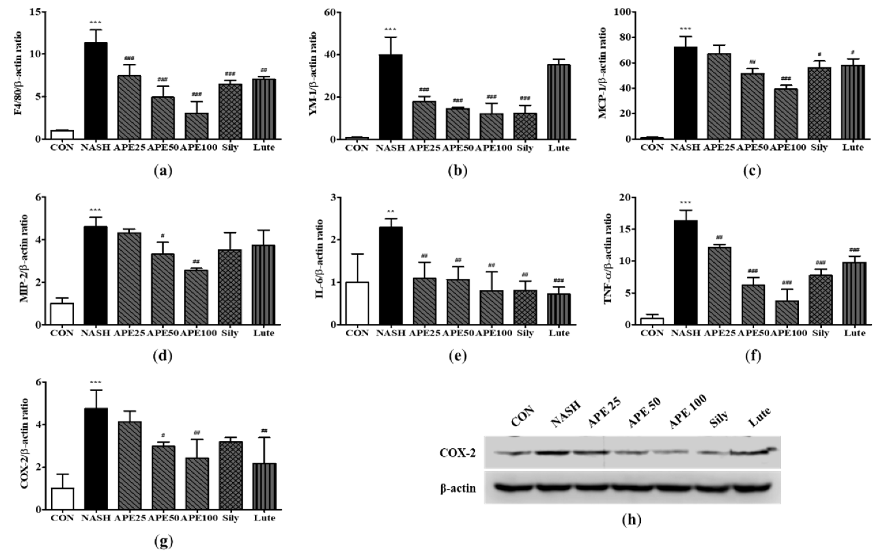 Preprints 84522 g009