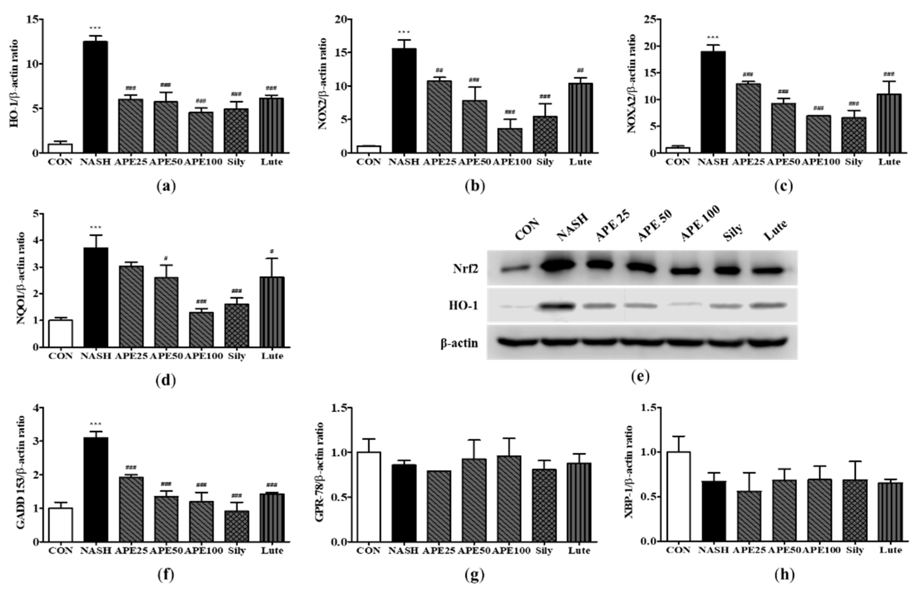 Preprints 84522 g011