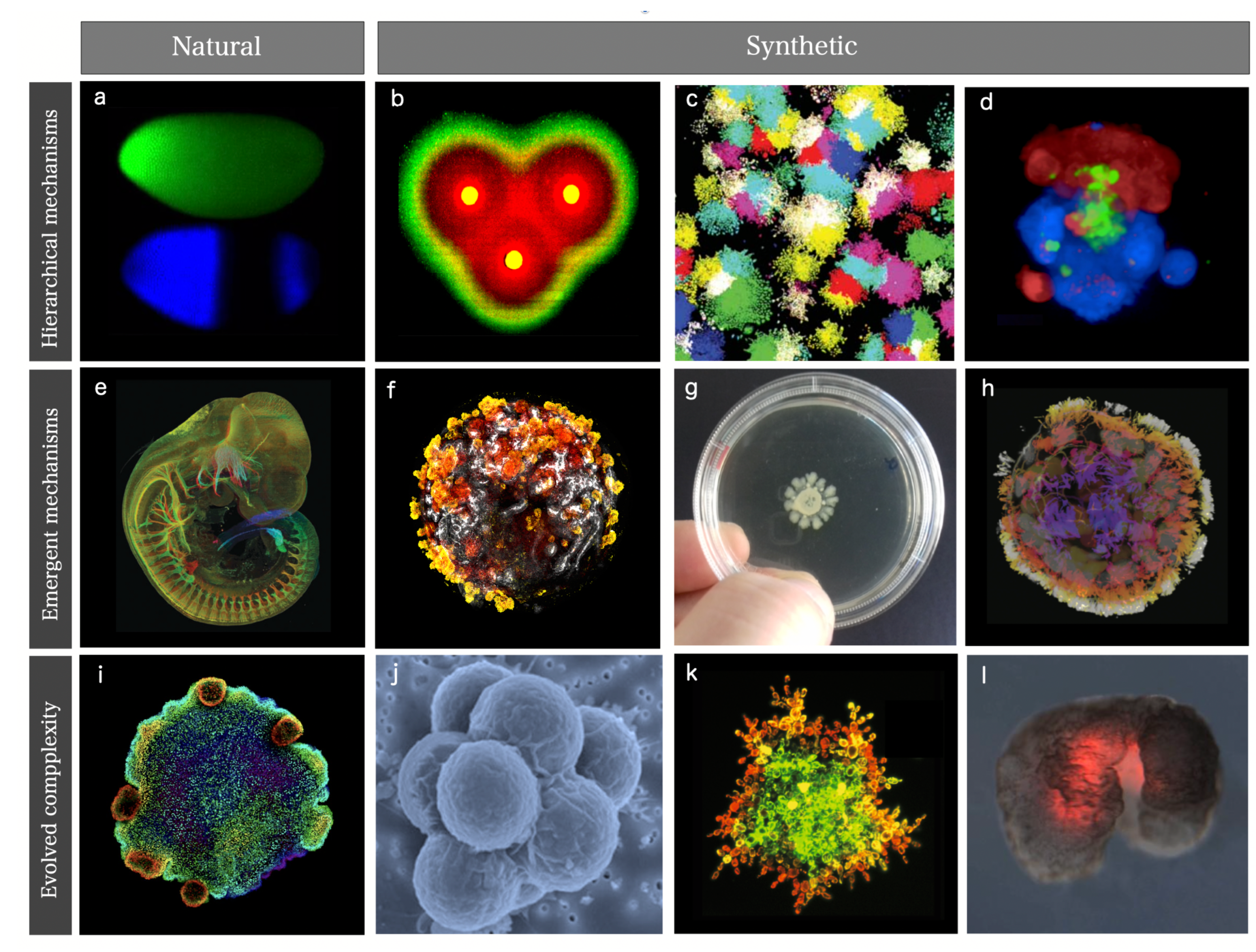 Preprints 112964 g001