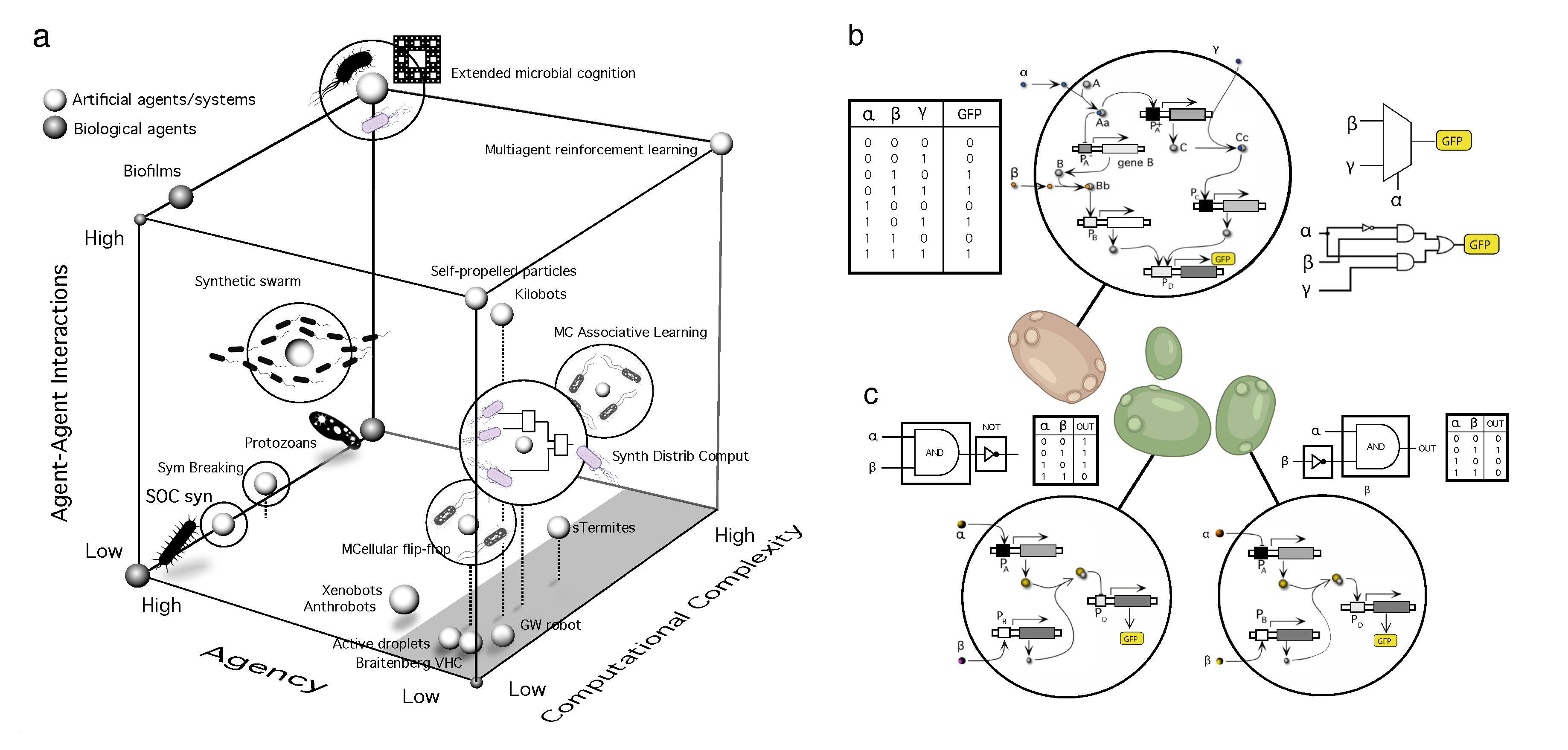 Preprints 112964 g002