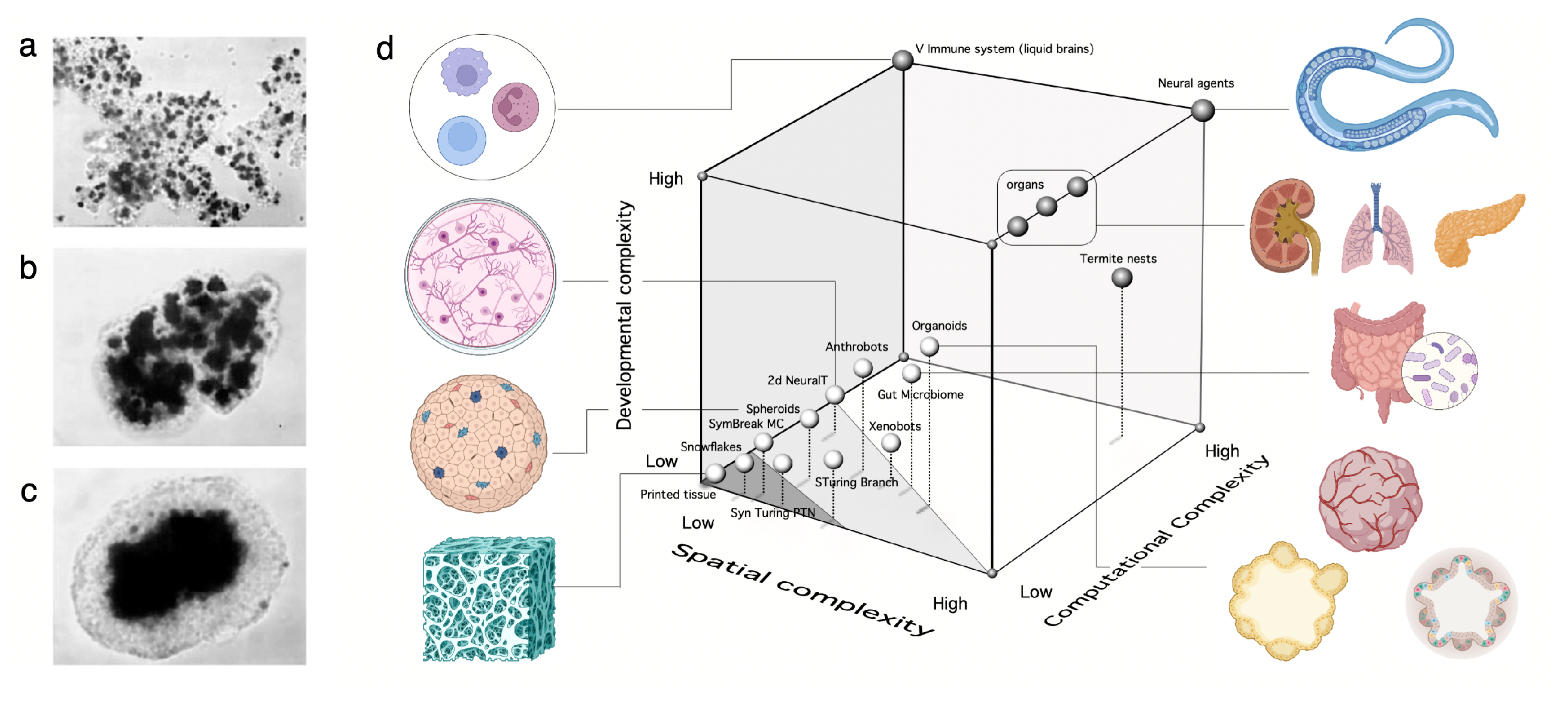 Preprints 112964 g003