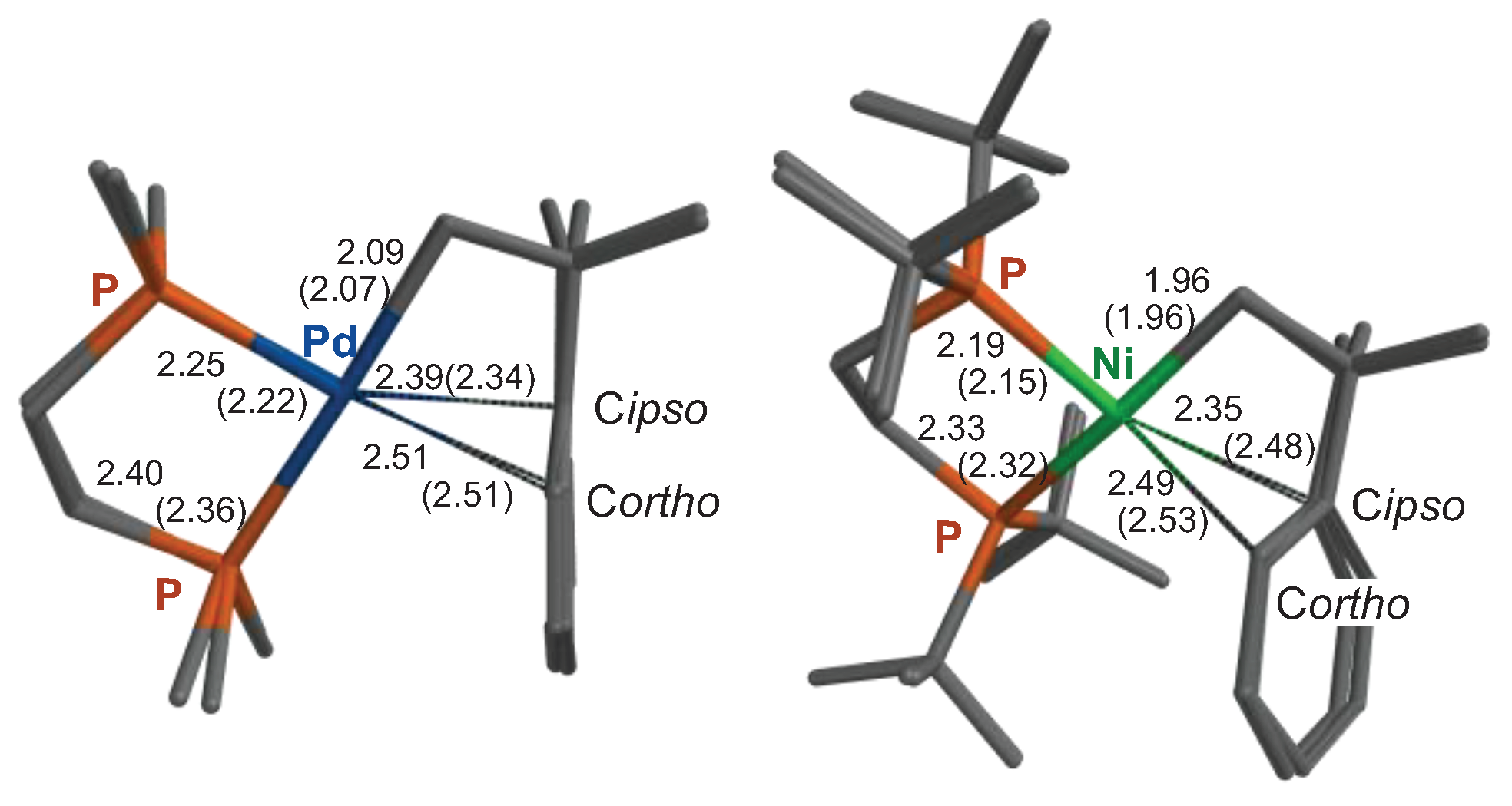 Preprints 99521 g002