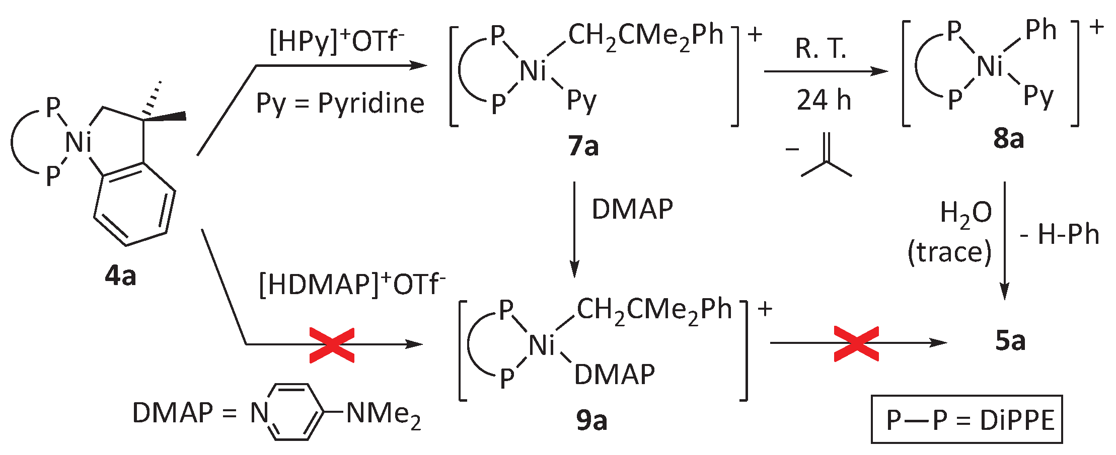 Preprints 99521 sch004