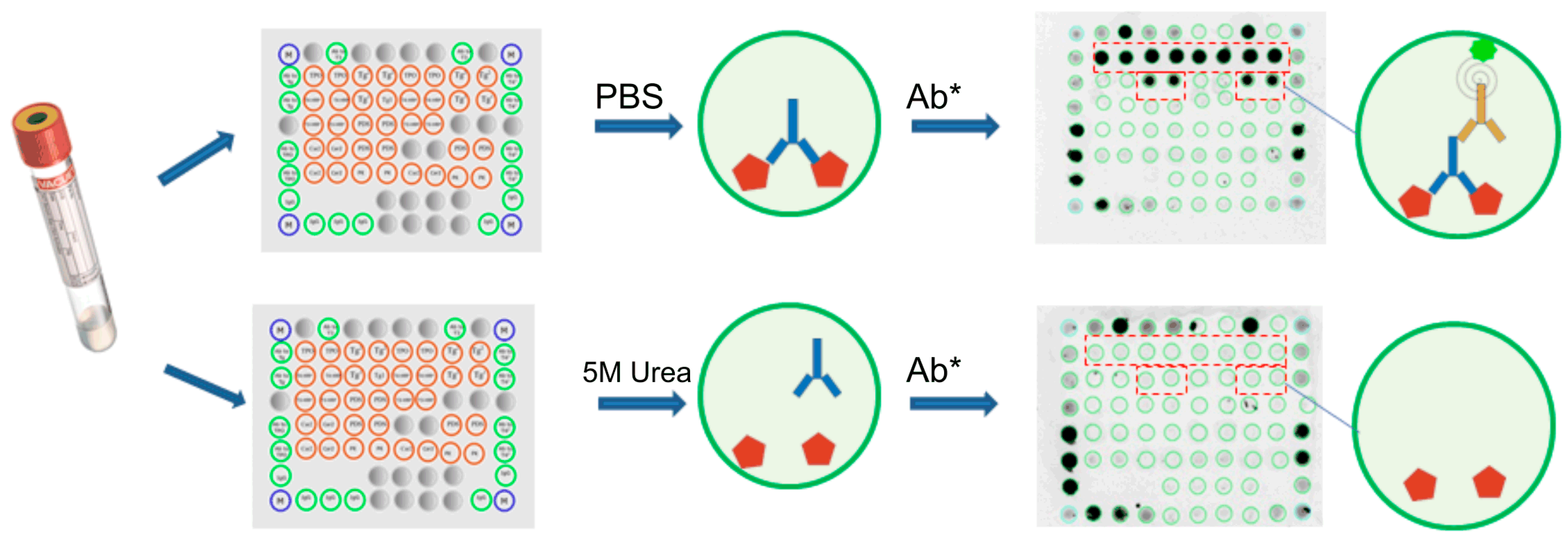 Preprints 90077 g002