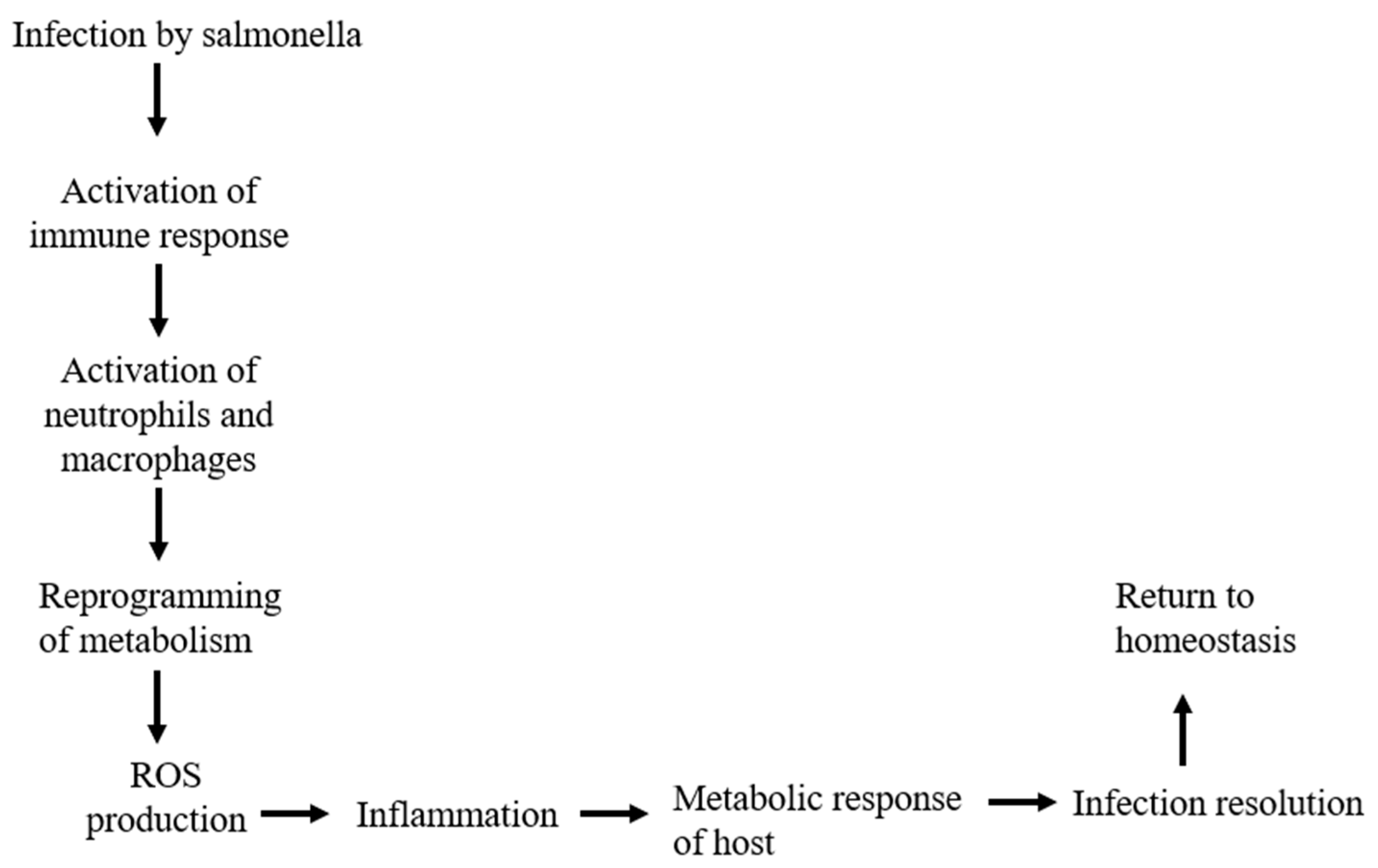 Preprints 86595 g002