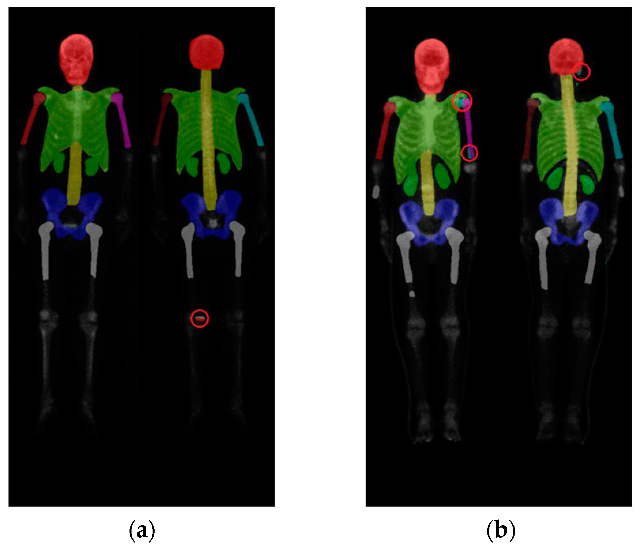 Preprints 77278 g012