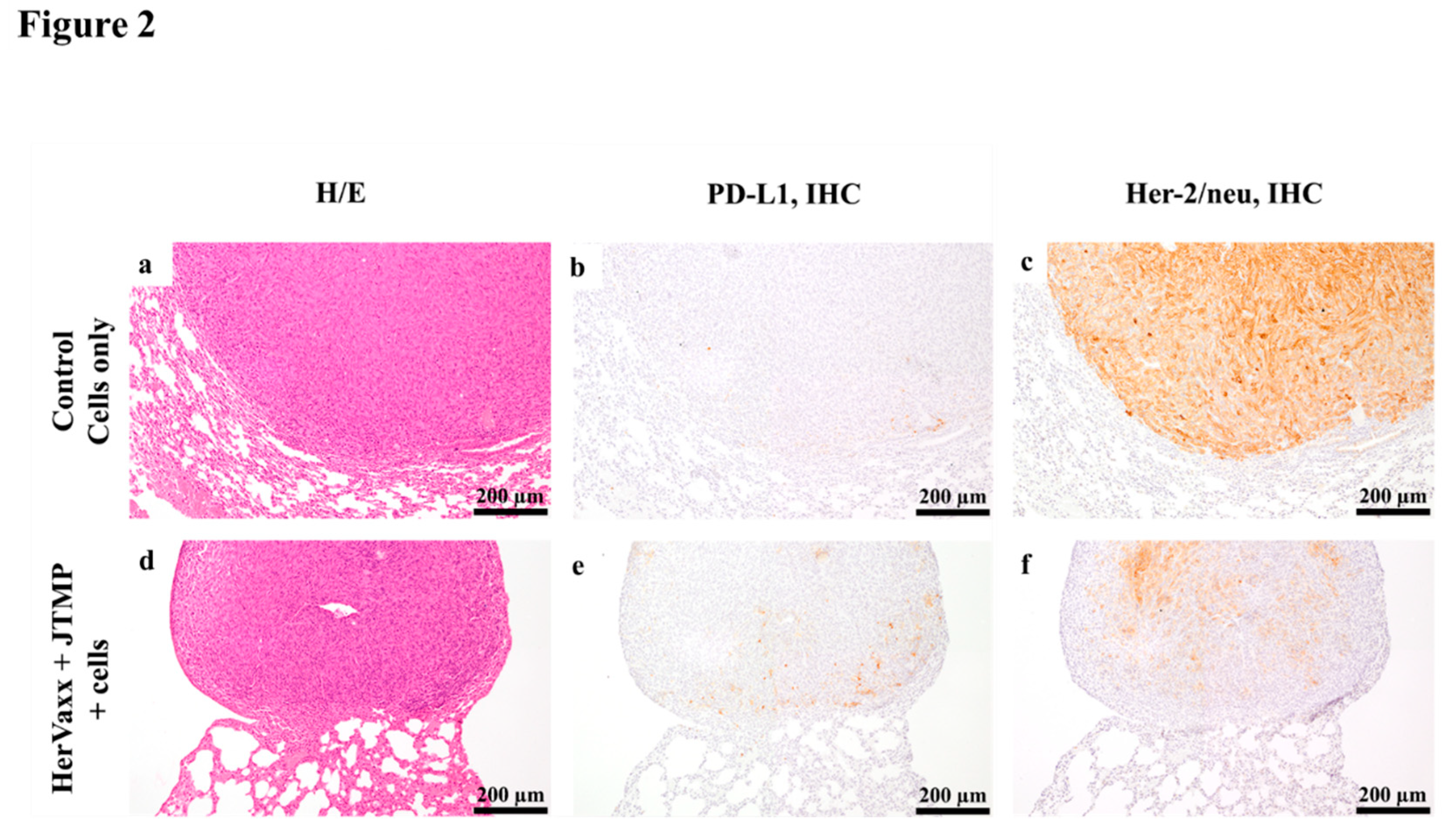 Preprints 91162 g002