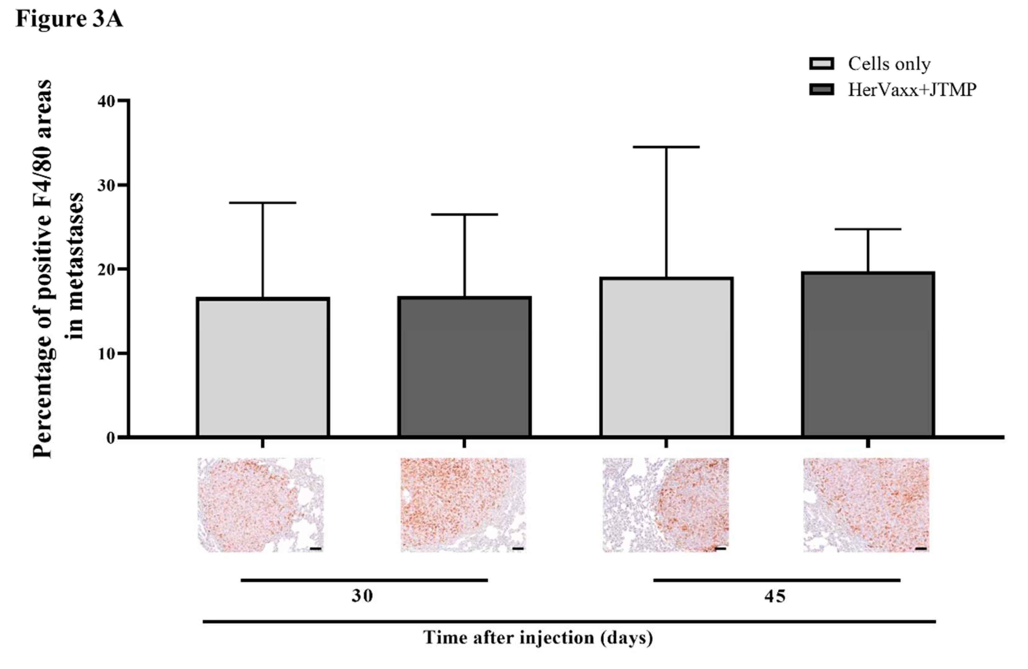 Preprints 91162 g003