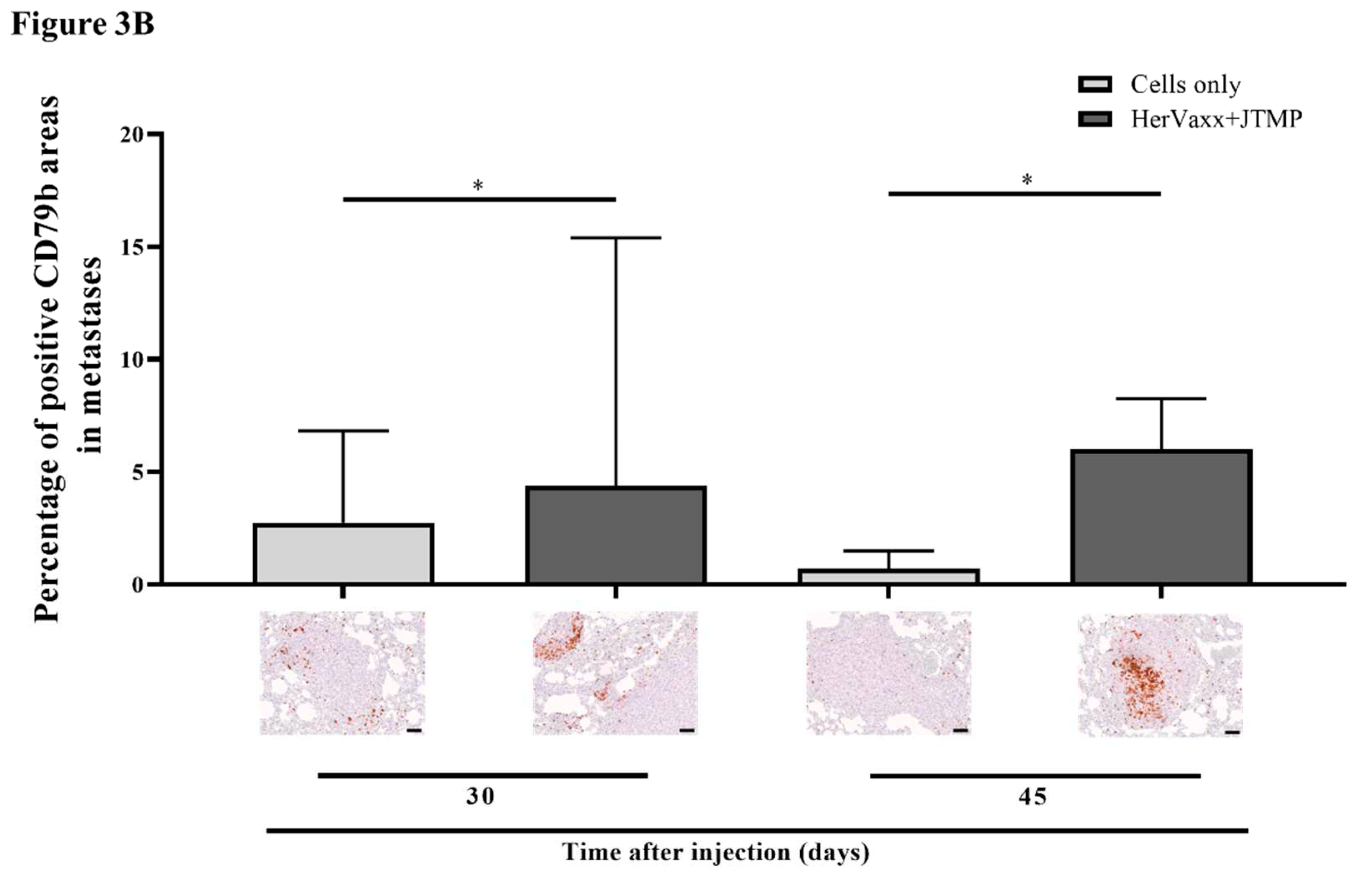 Preprints 91162 g004