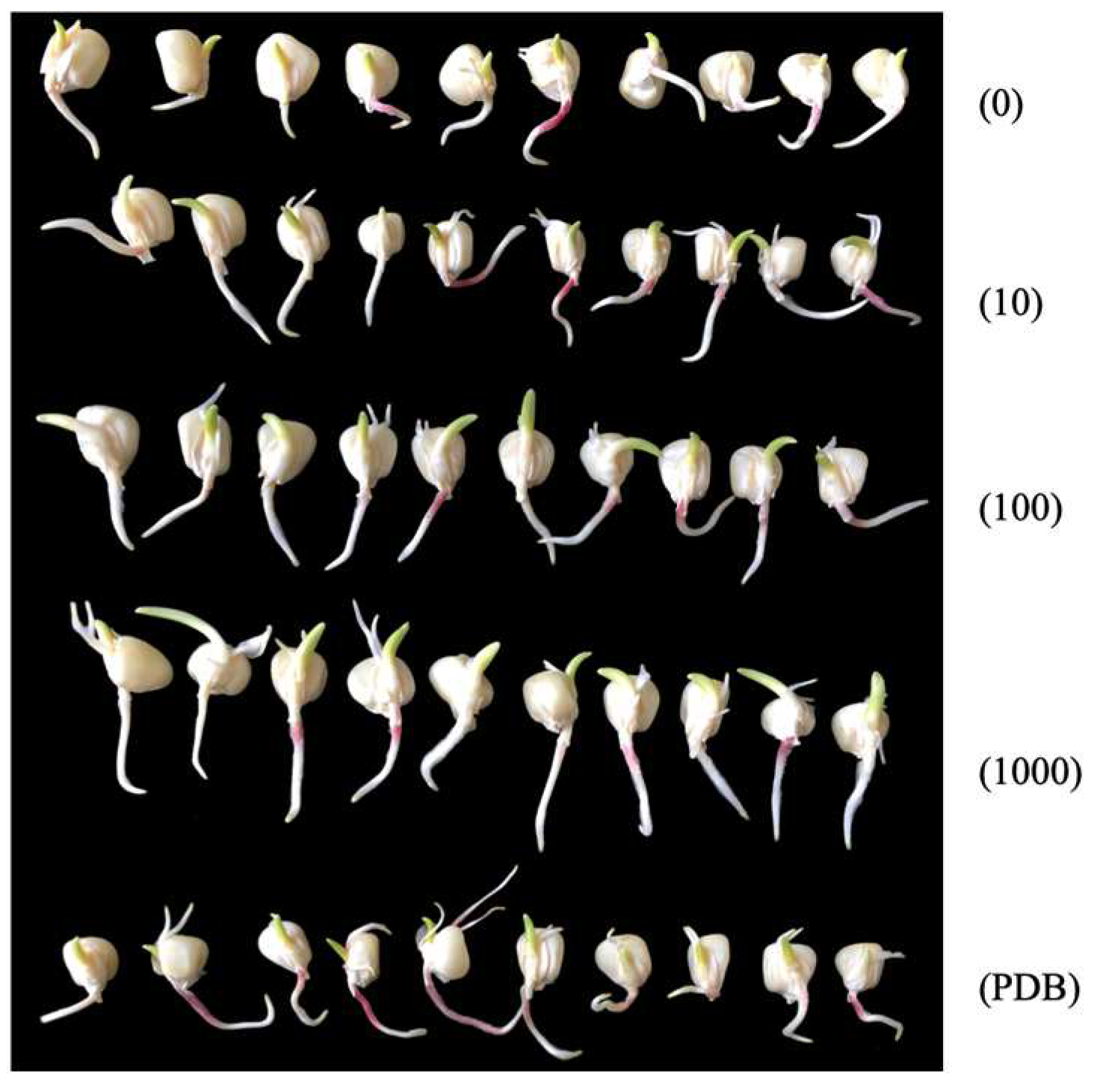 Preprints 97730 g001