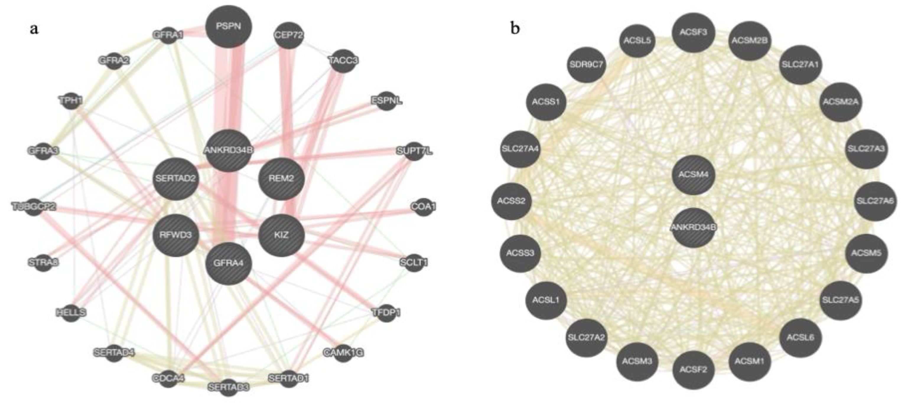 Preprints 115260 g002