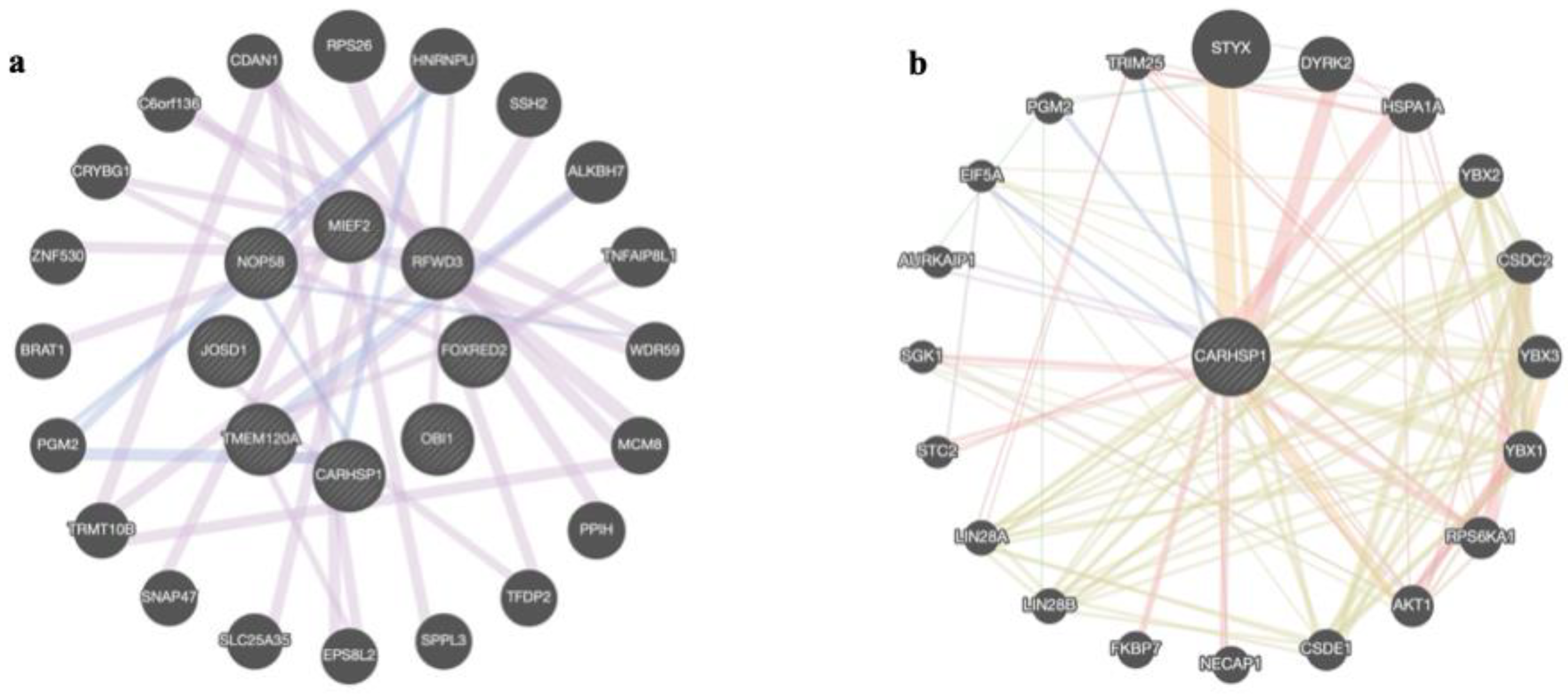 Preprints 115260 g003