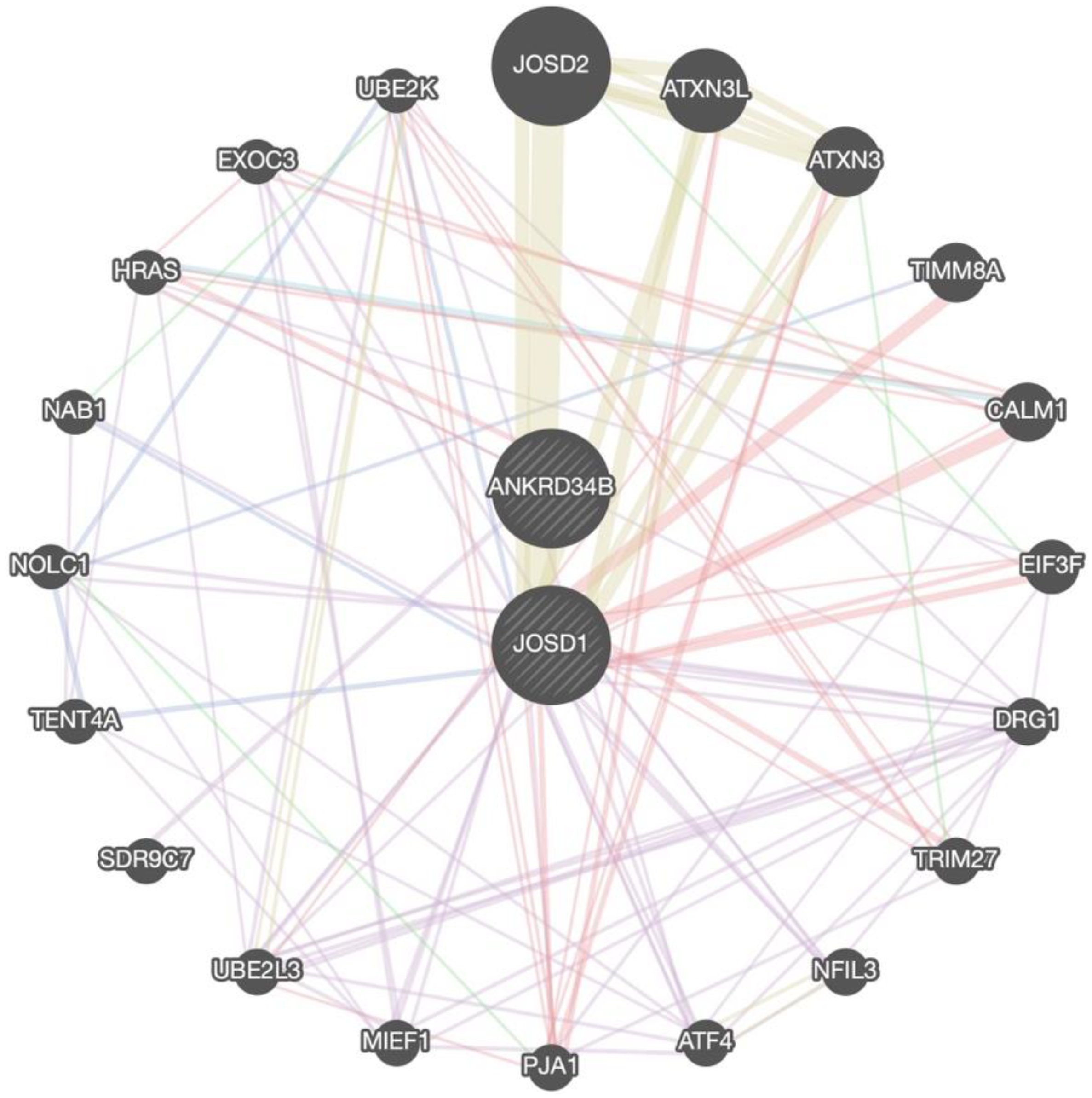 Preprints 115260 g004