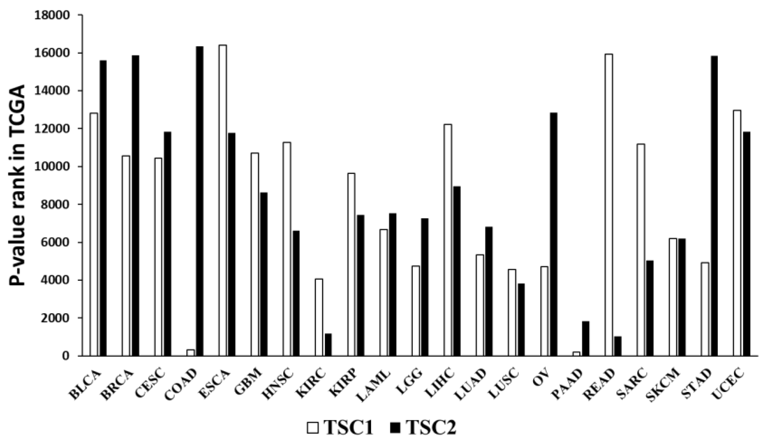 Preprints 91343 g001