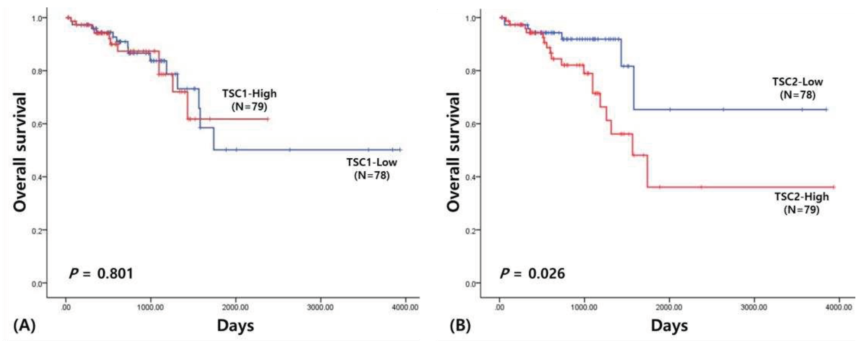 Preprints 91343 g002