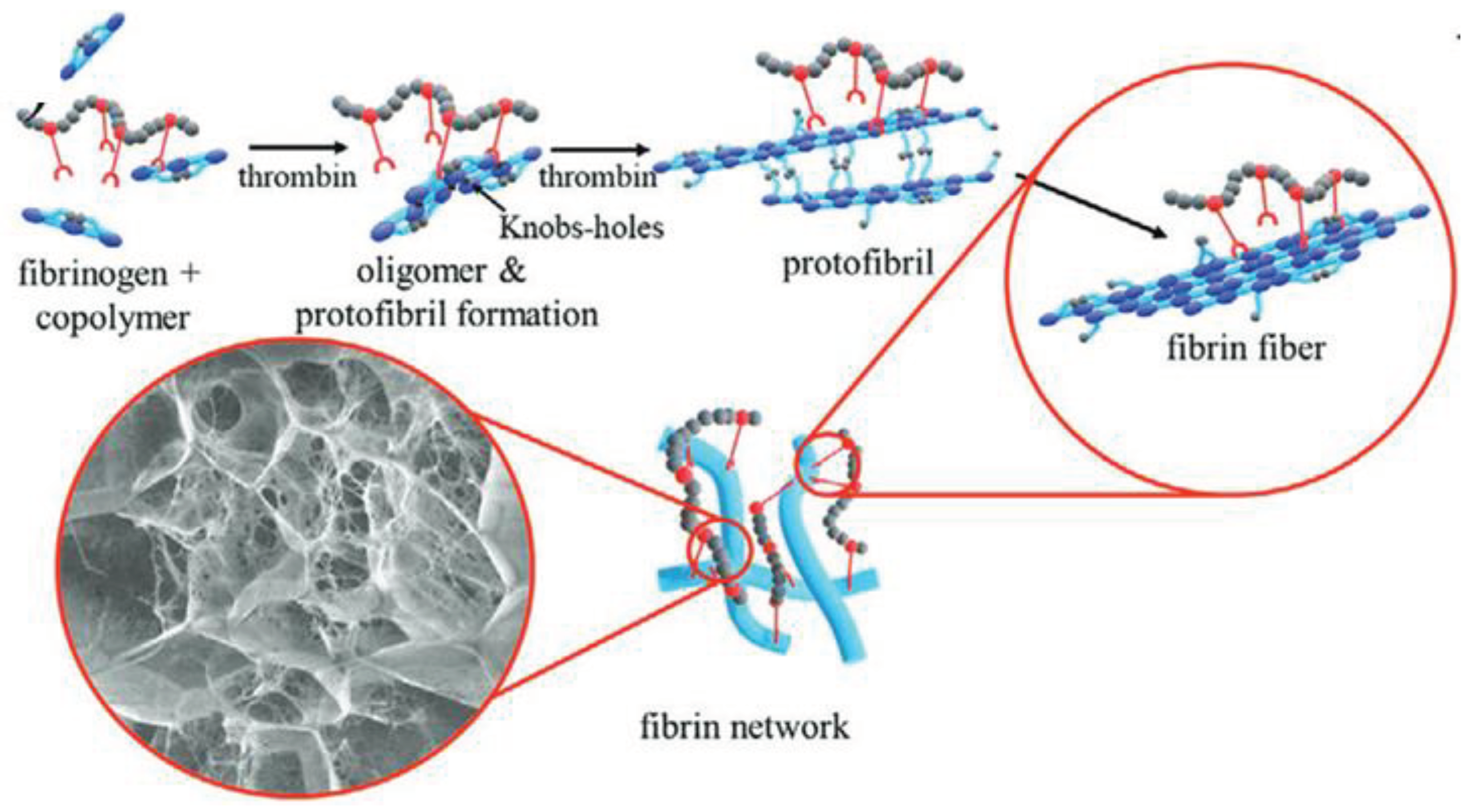 Preprints 99072 g002