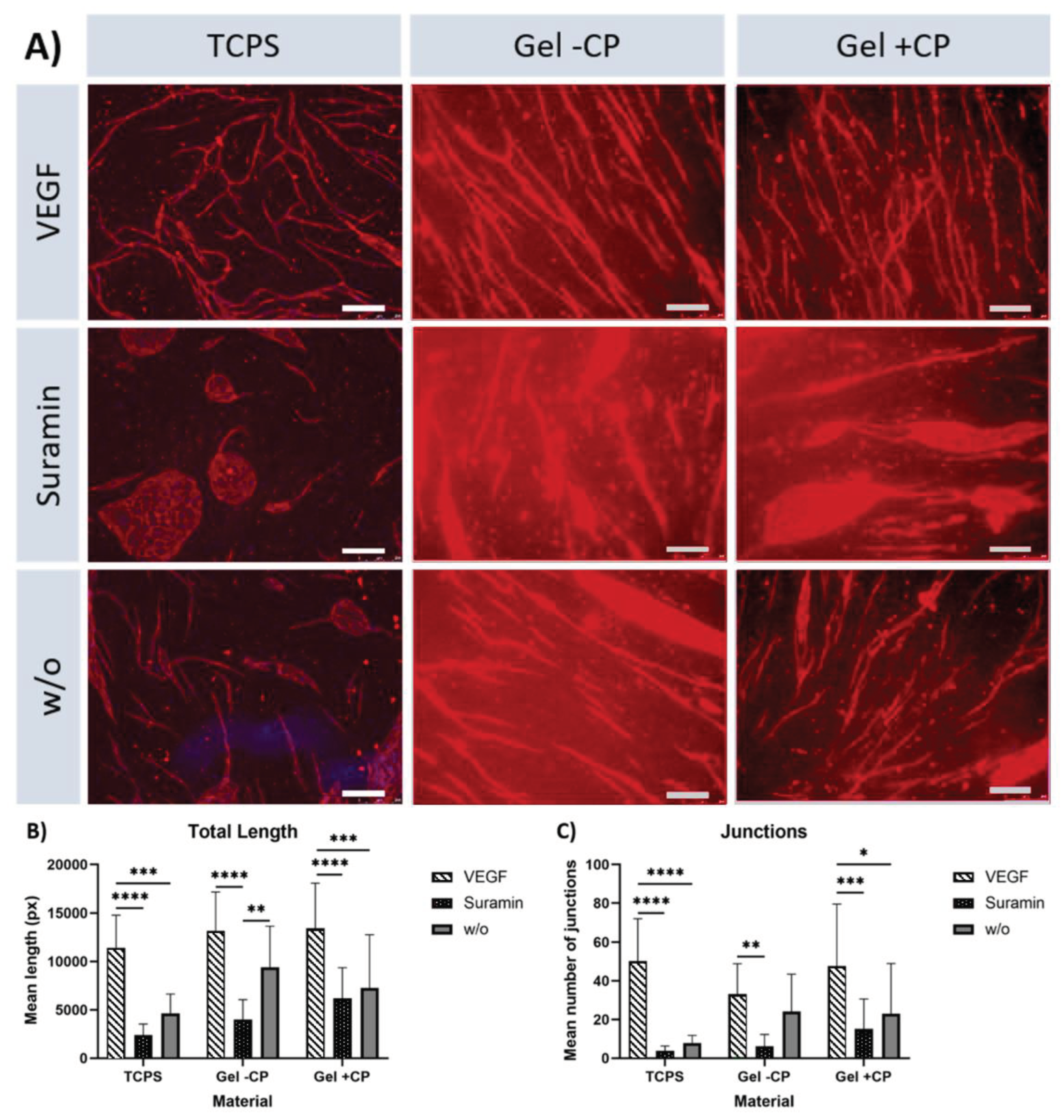 Preprints 99072 g004