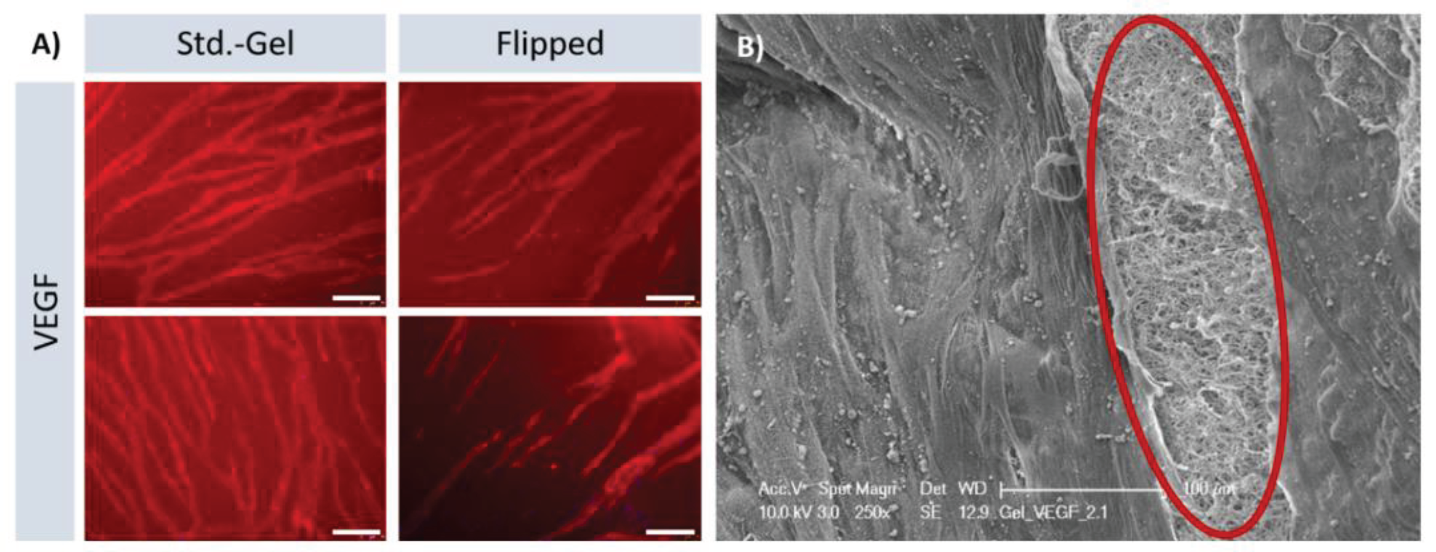 Preprints 99072 g005