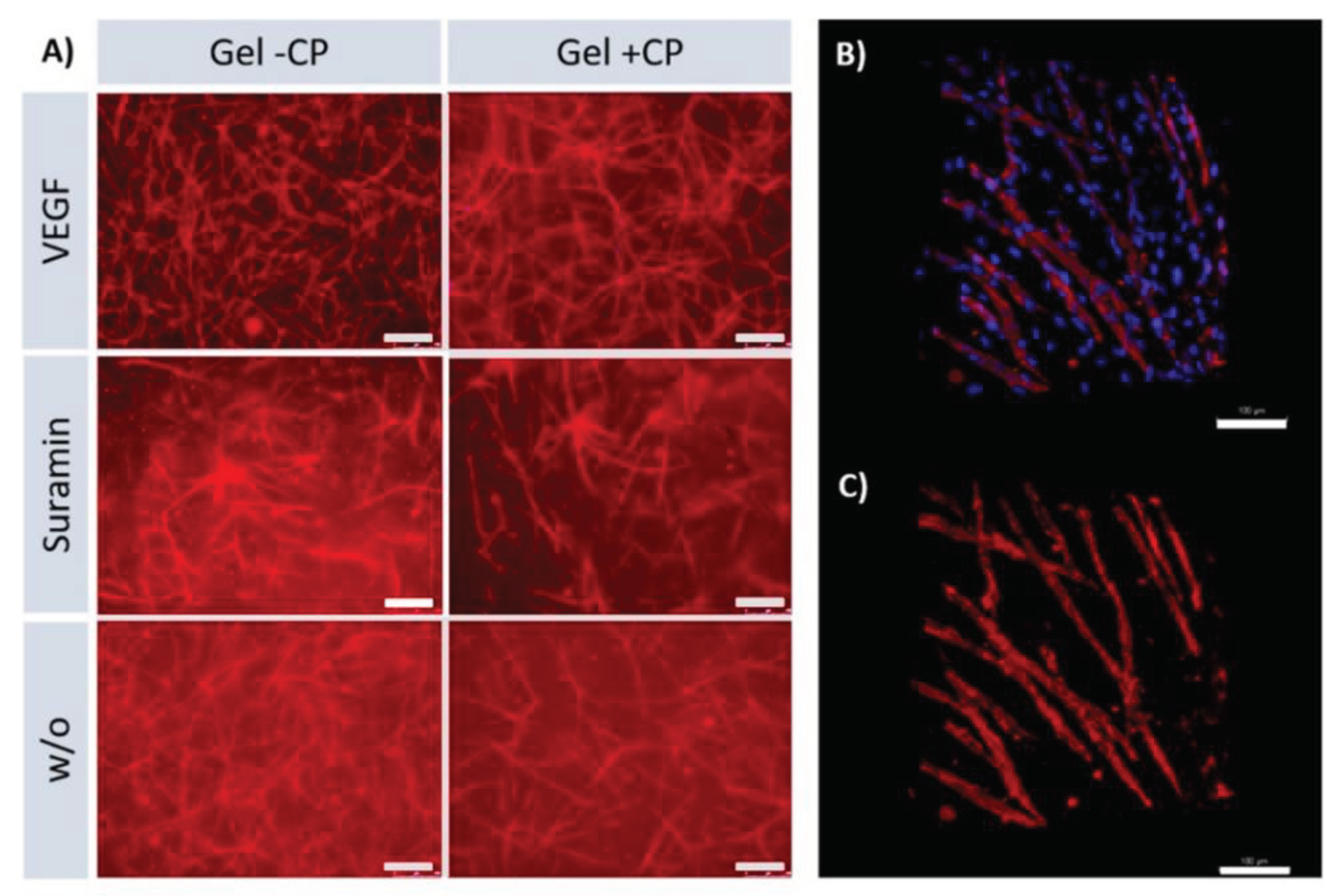 Preprints 99072 g006