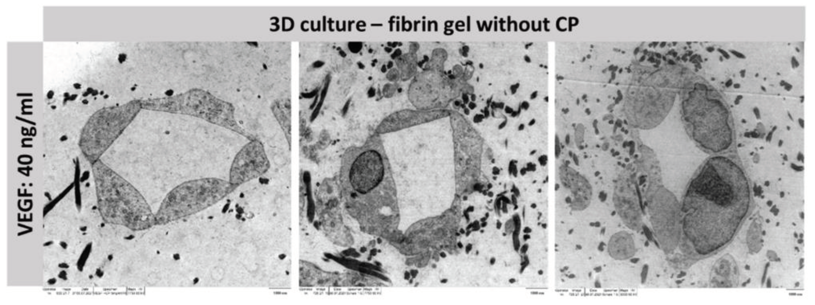 Preprints 99072 g007