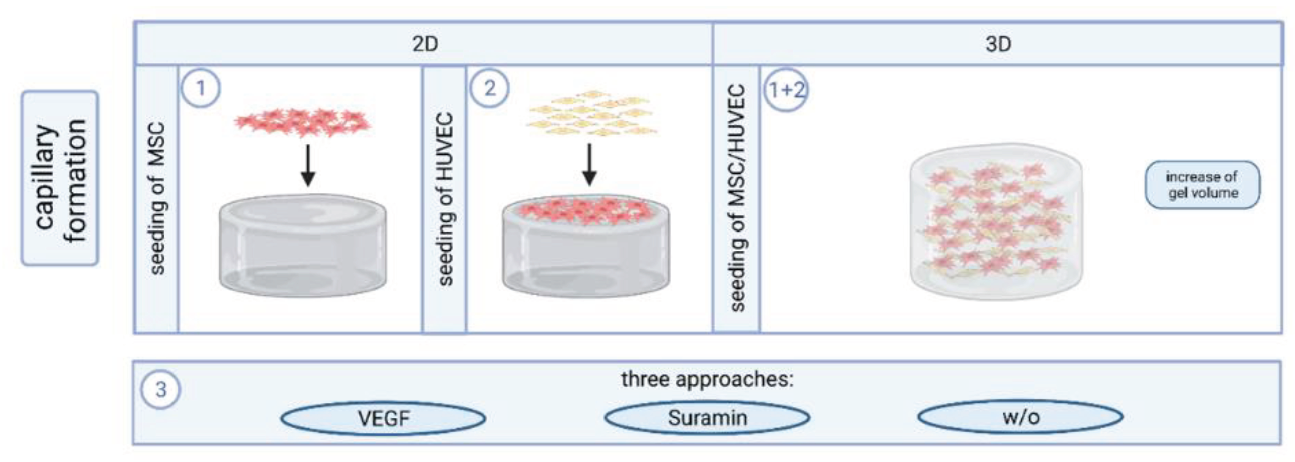 Preprints 99072 g011