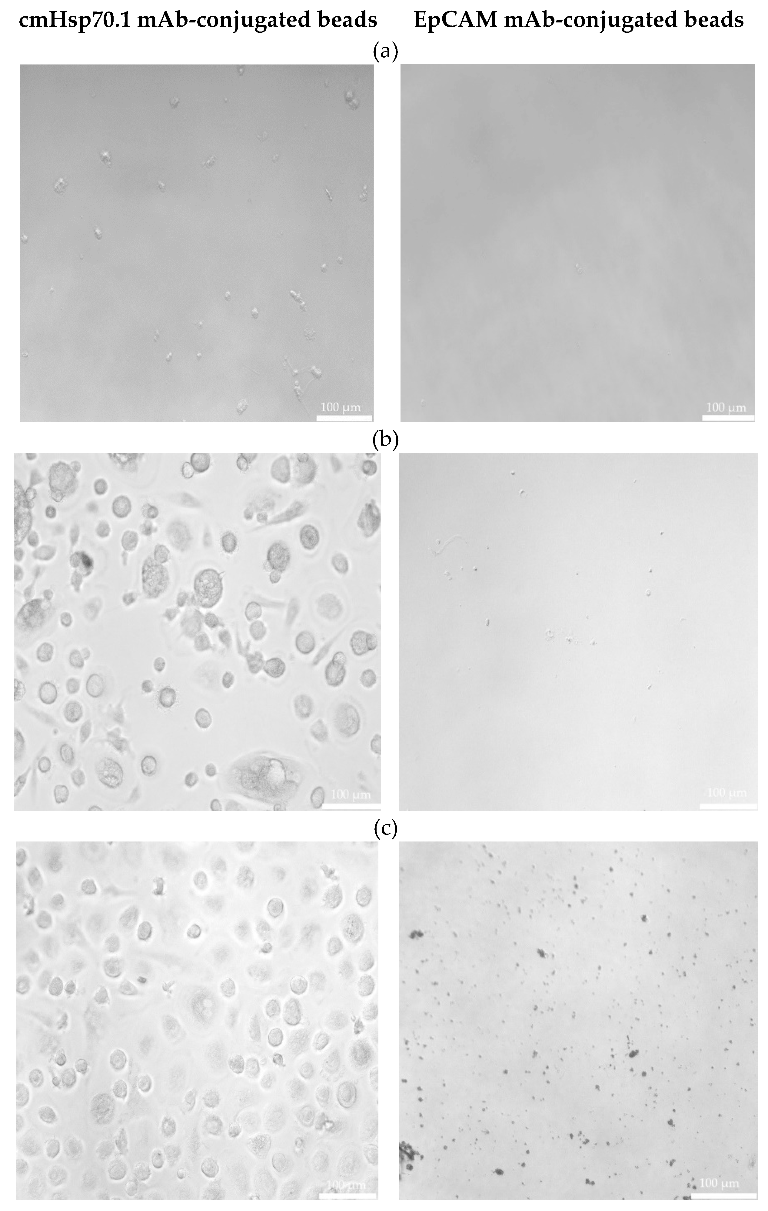 Preprints 117249 g002