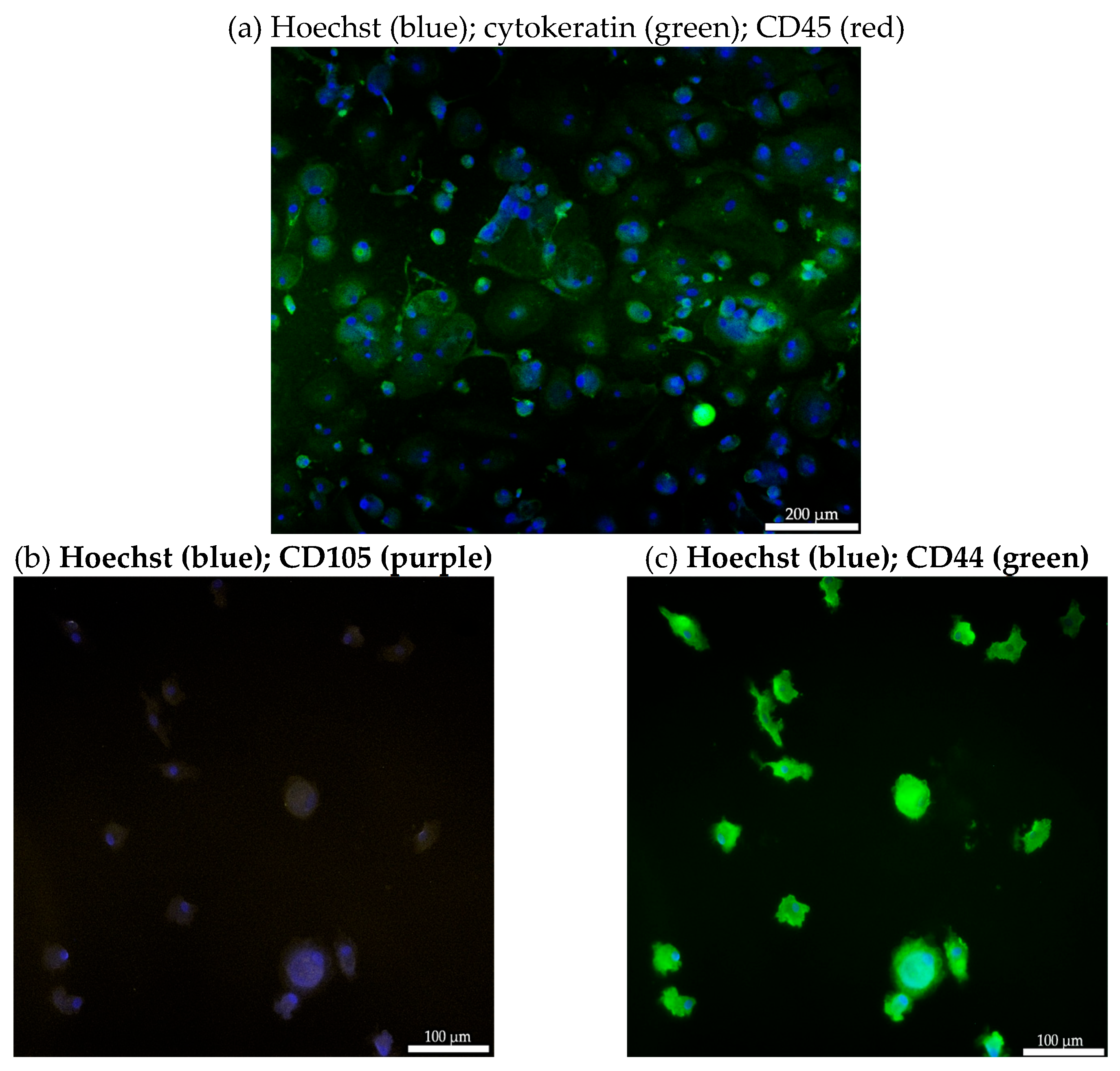 Preprints 117249 g003