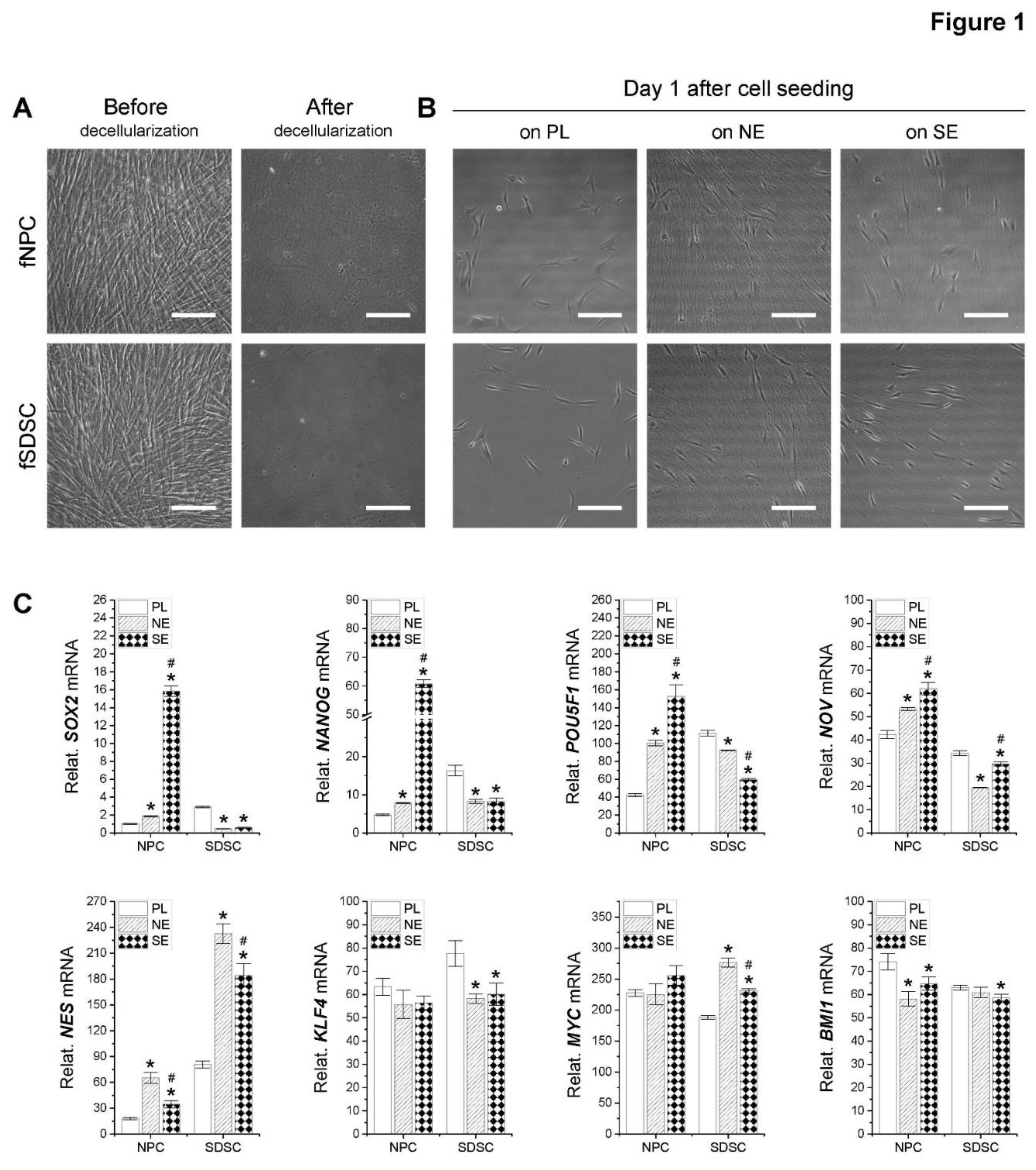 Preprints 93378 g001