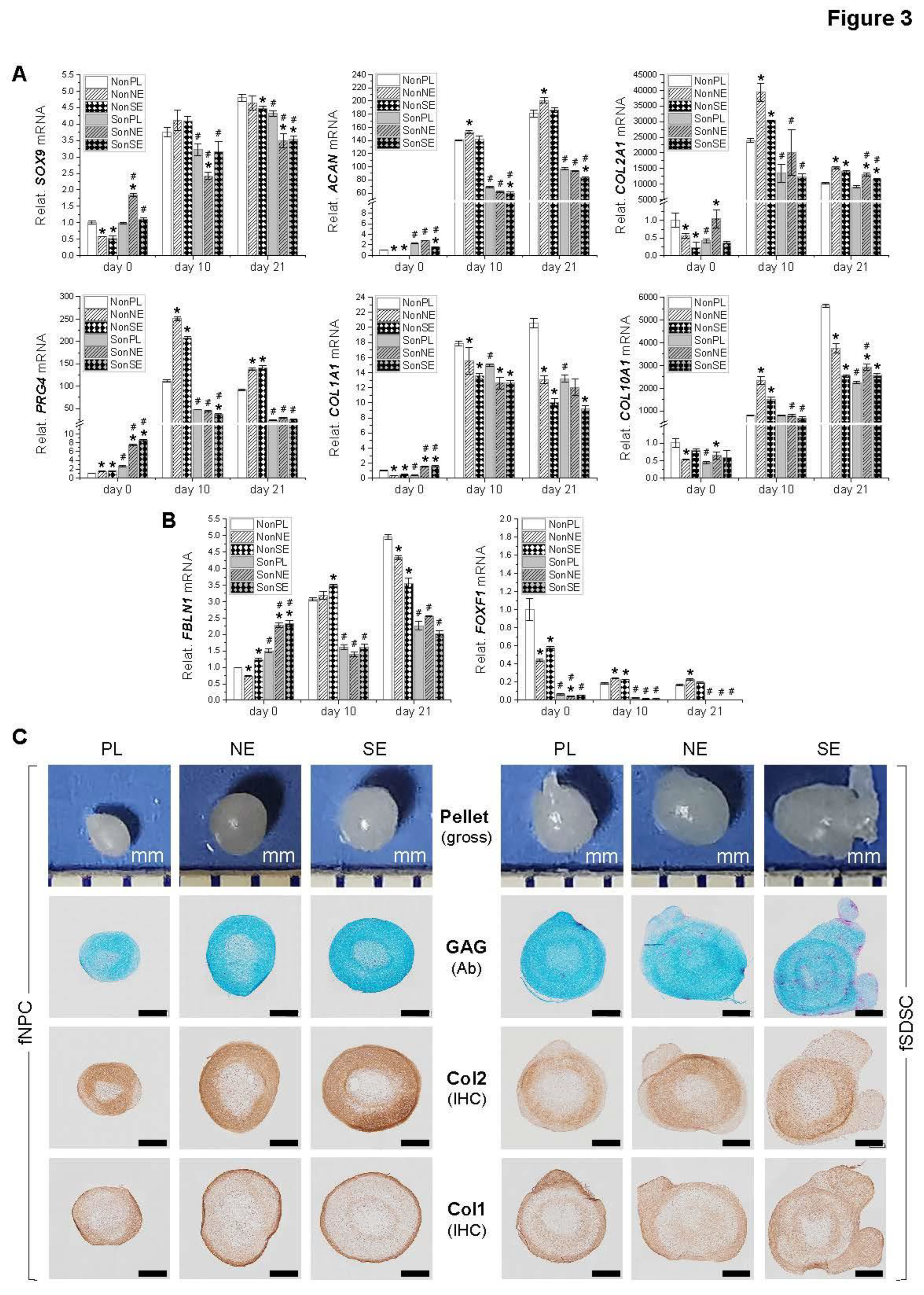 Preprints 93378 g003