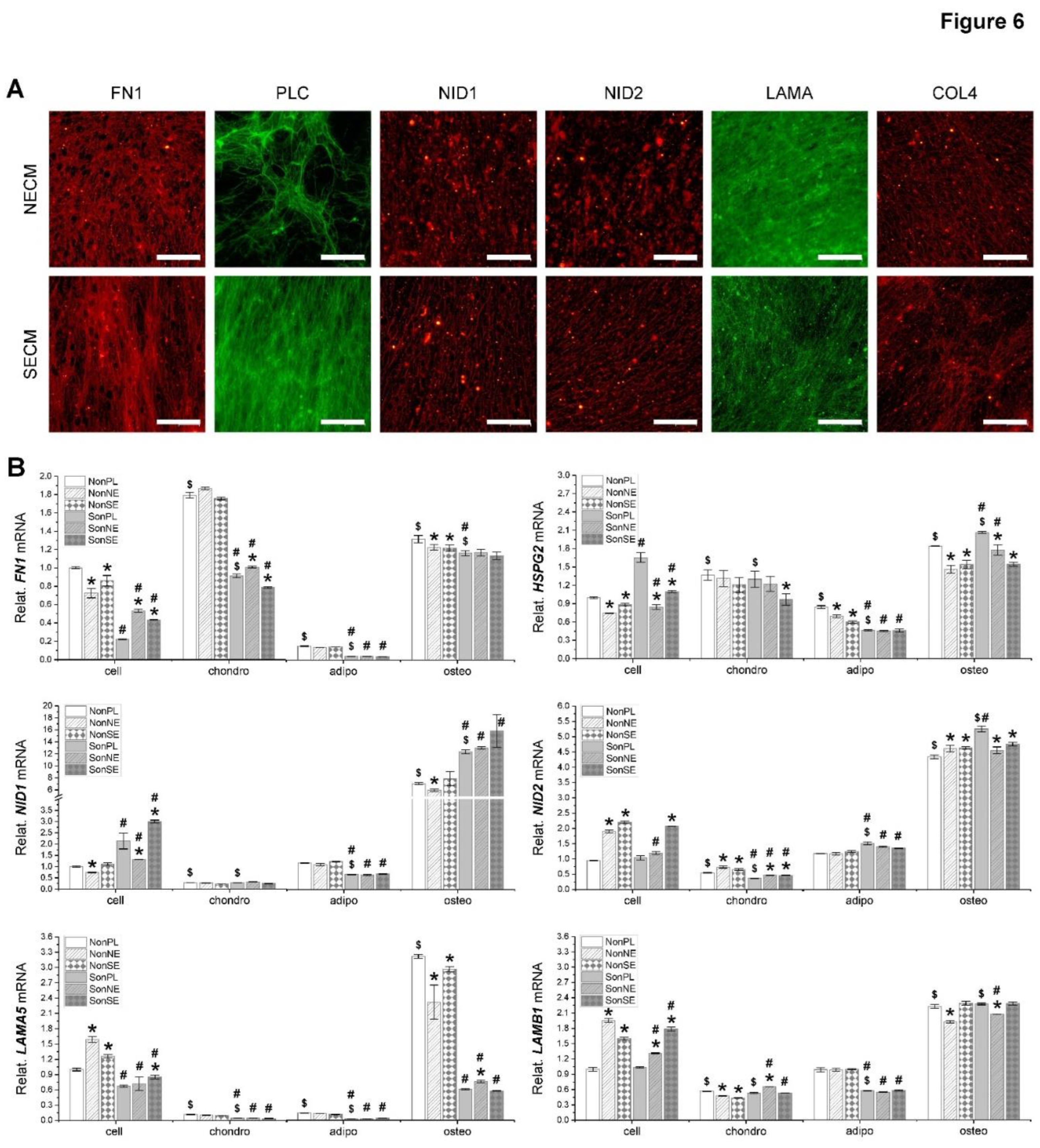 Preprints 93378 g006