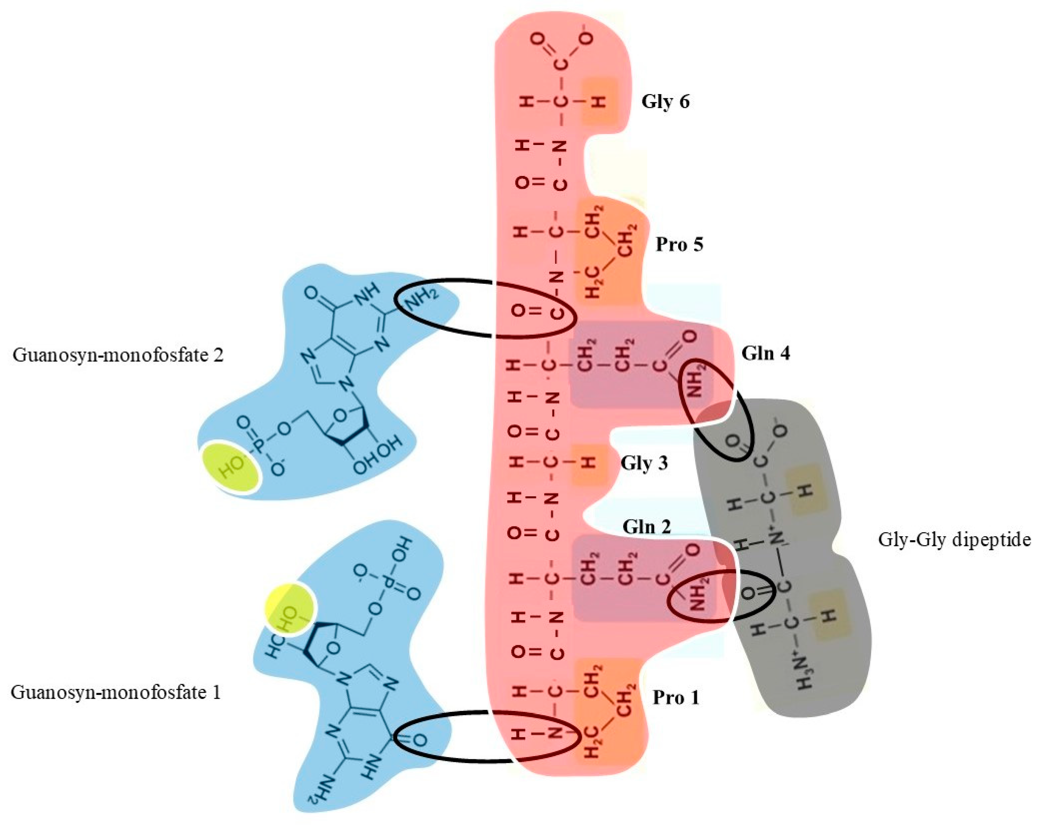 Preprints 67030 g001