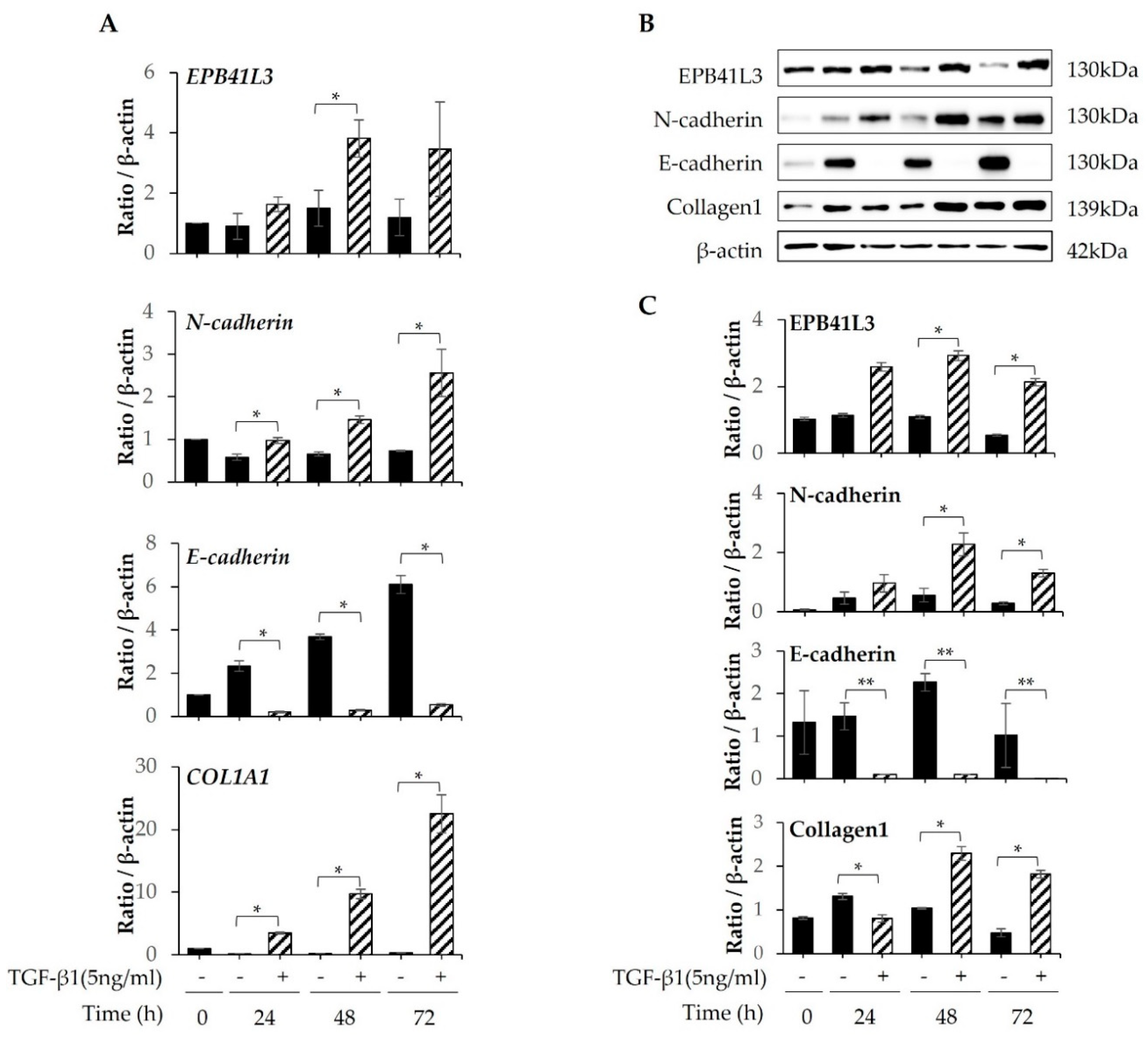 Preprints 73263 g002