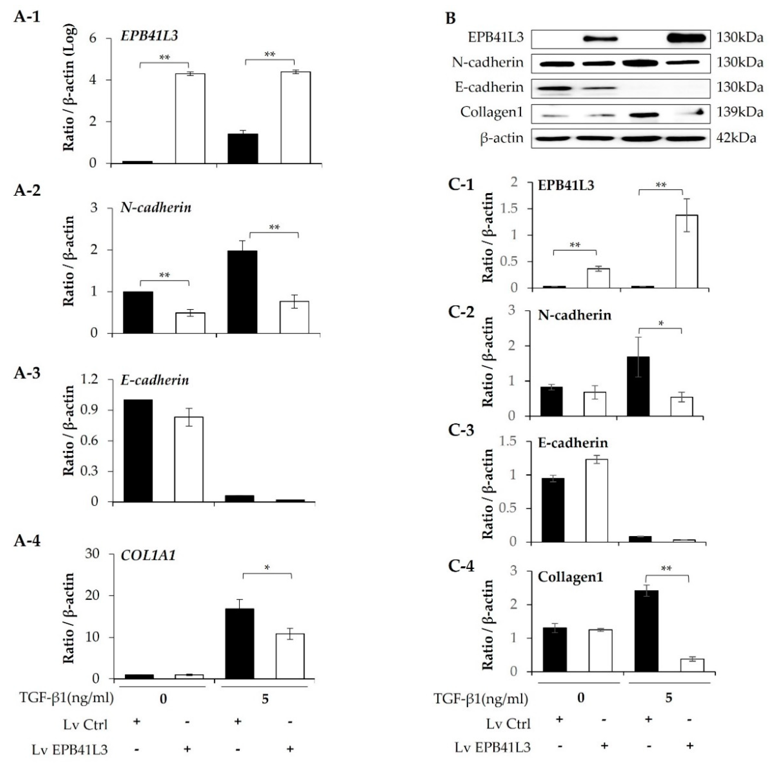 Preprints 73263 g003