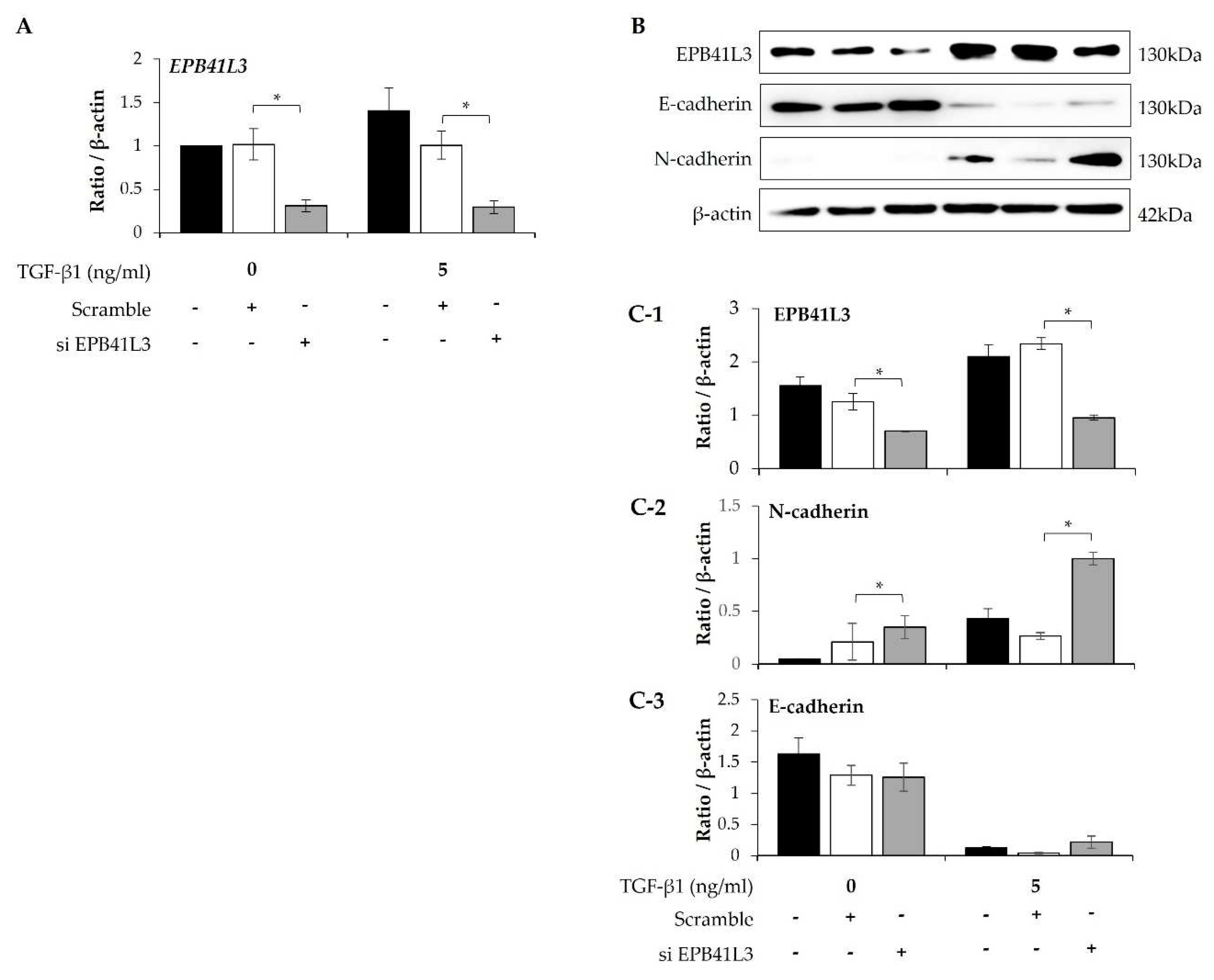 Preprints 73263 g004