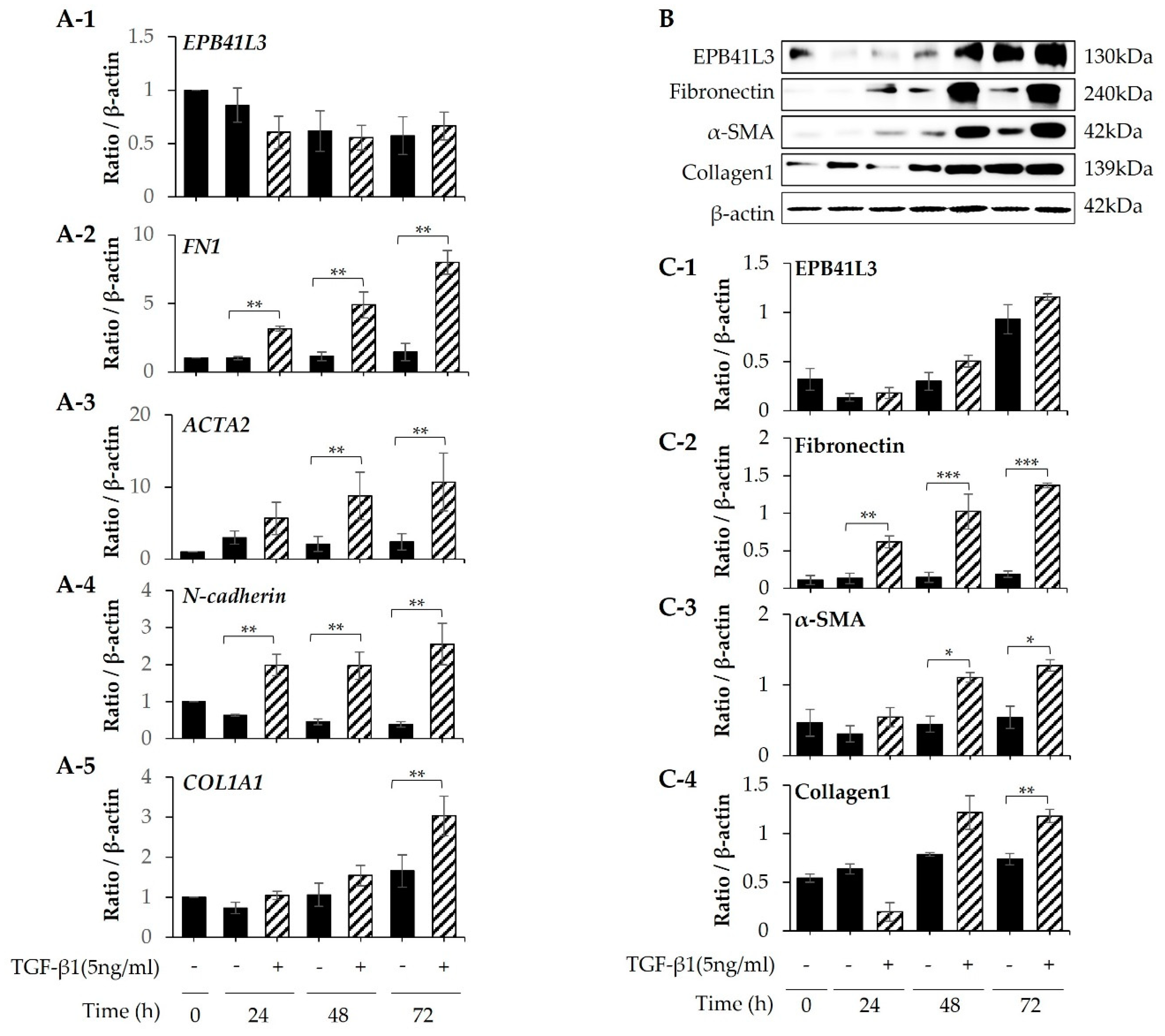 Preprints 73263 g005