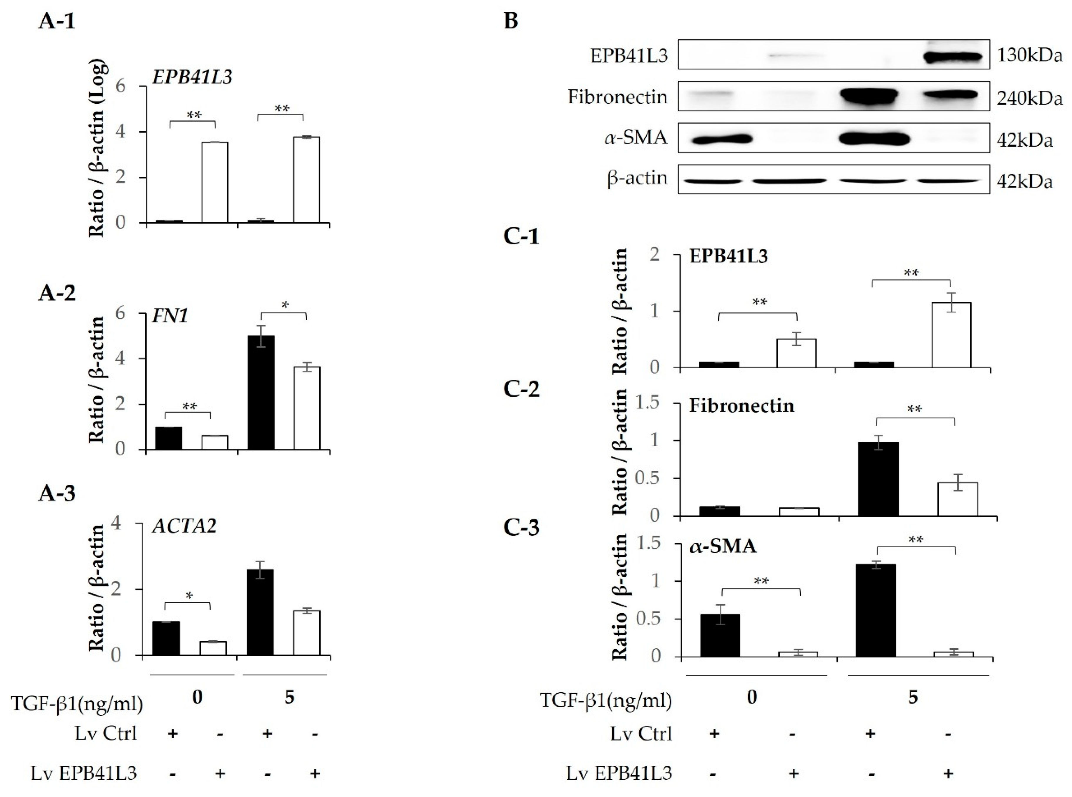 Preprints 73263 g006