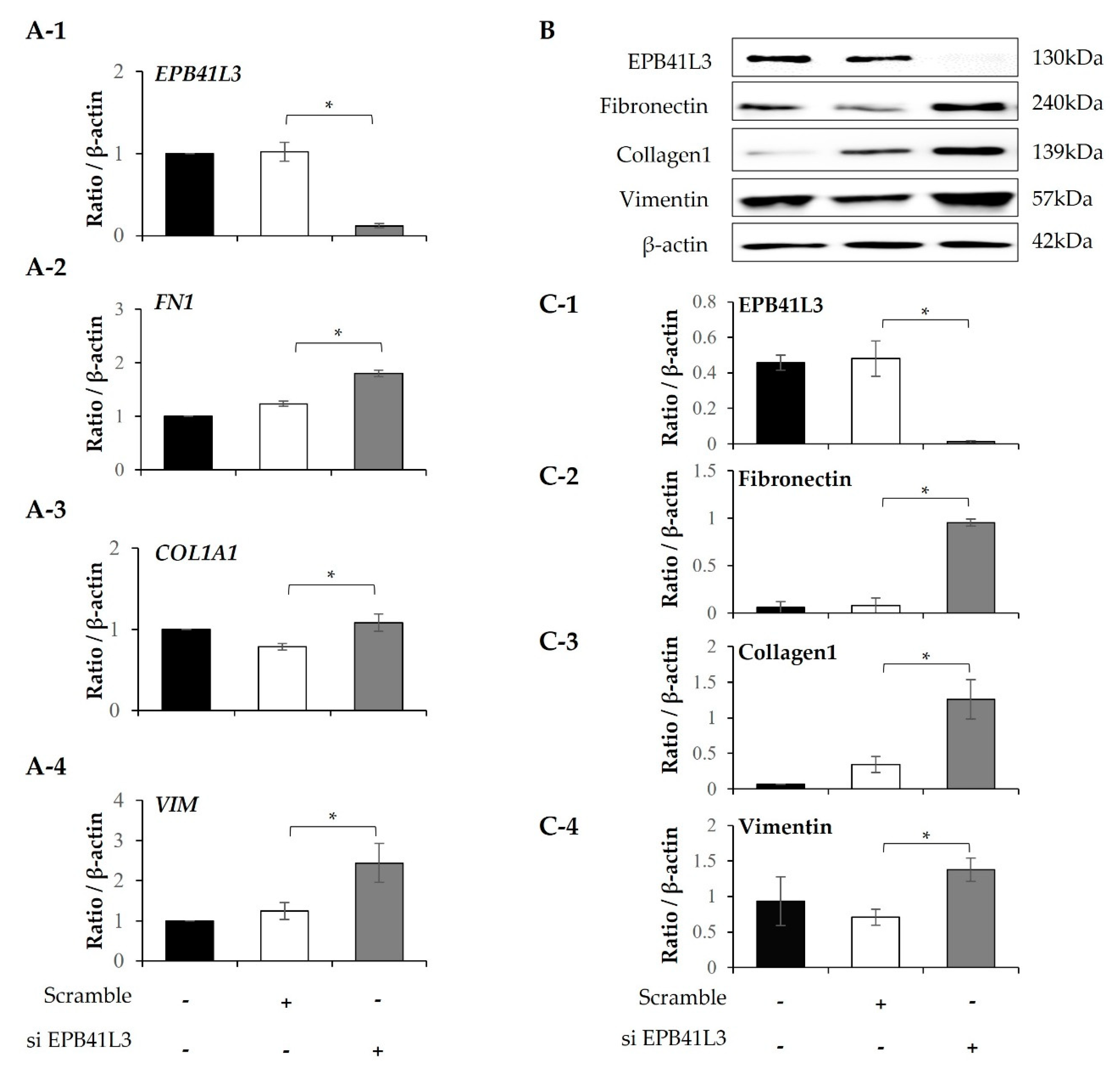 Preprints 73263 g007