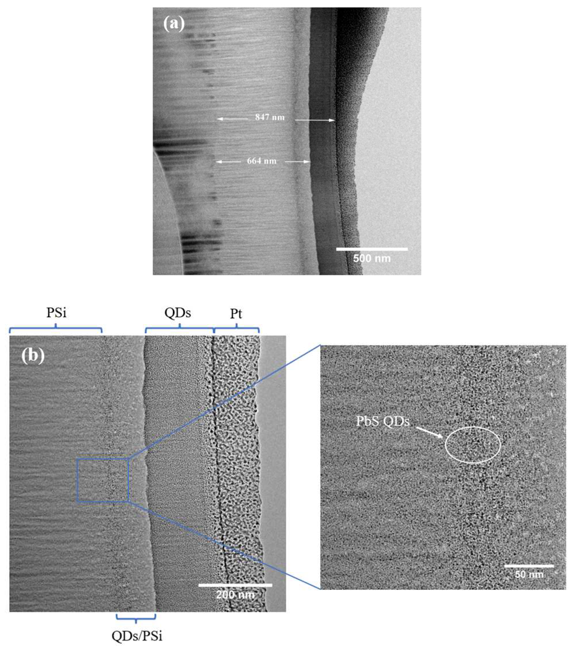 Preprints 85157 g004