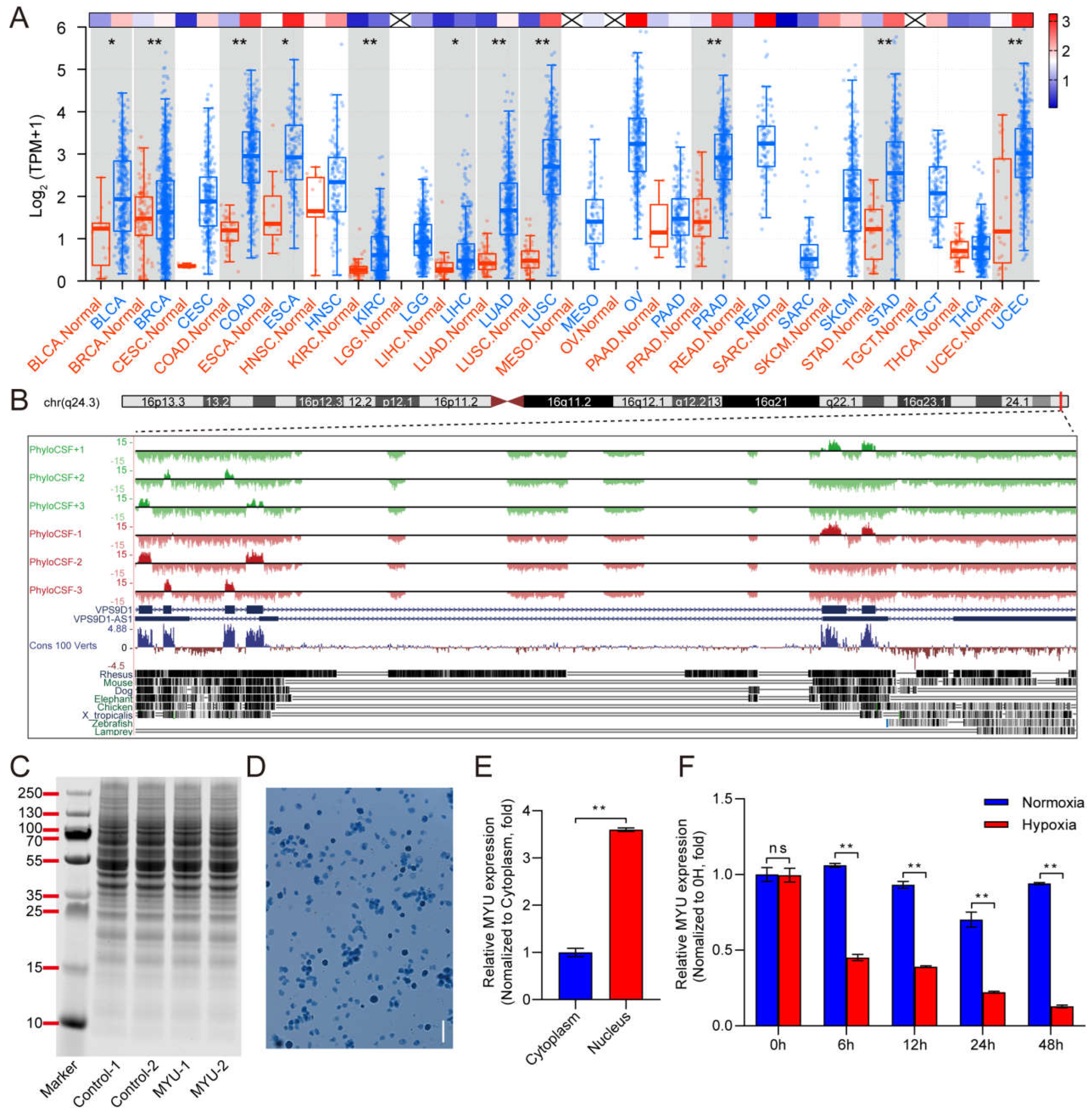 Preprints 109775 g001