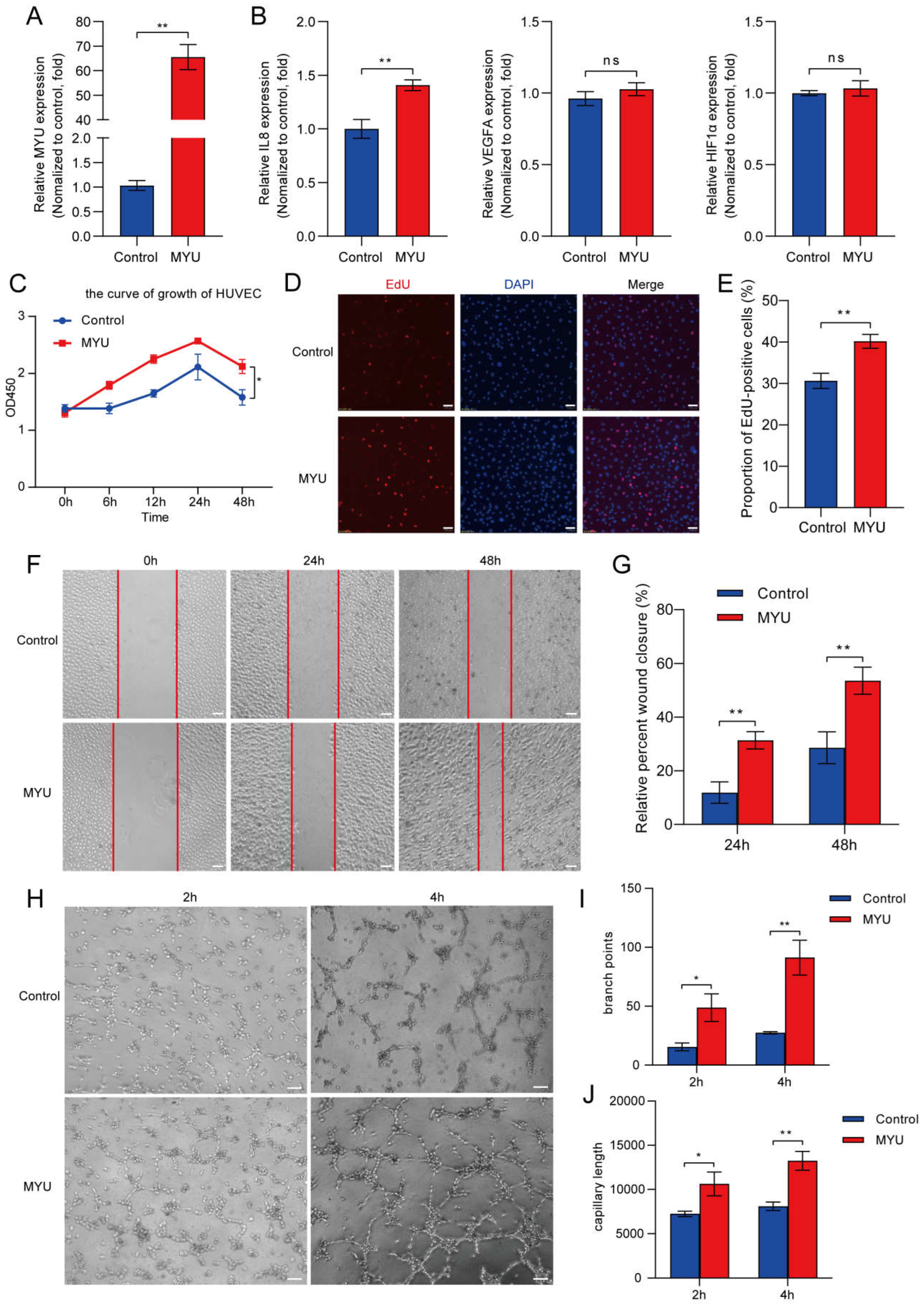 Preprints 109775 g002