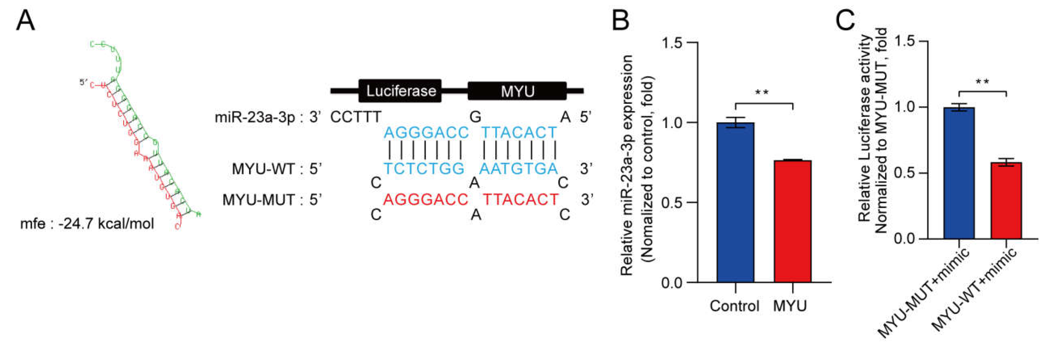 Preprints 109775 g003