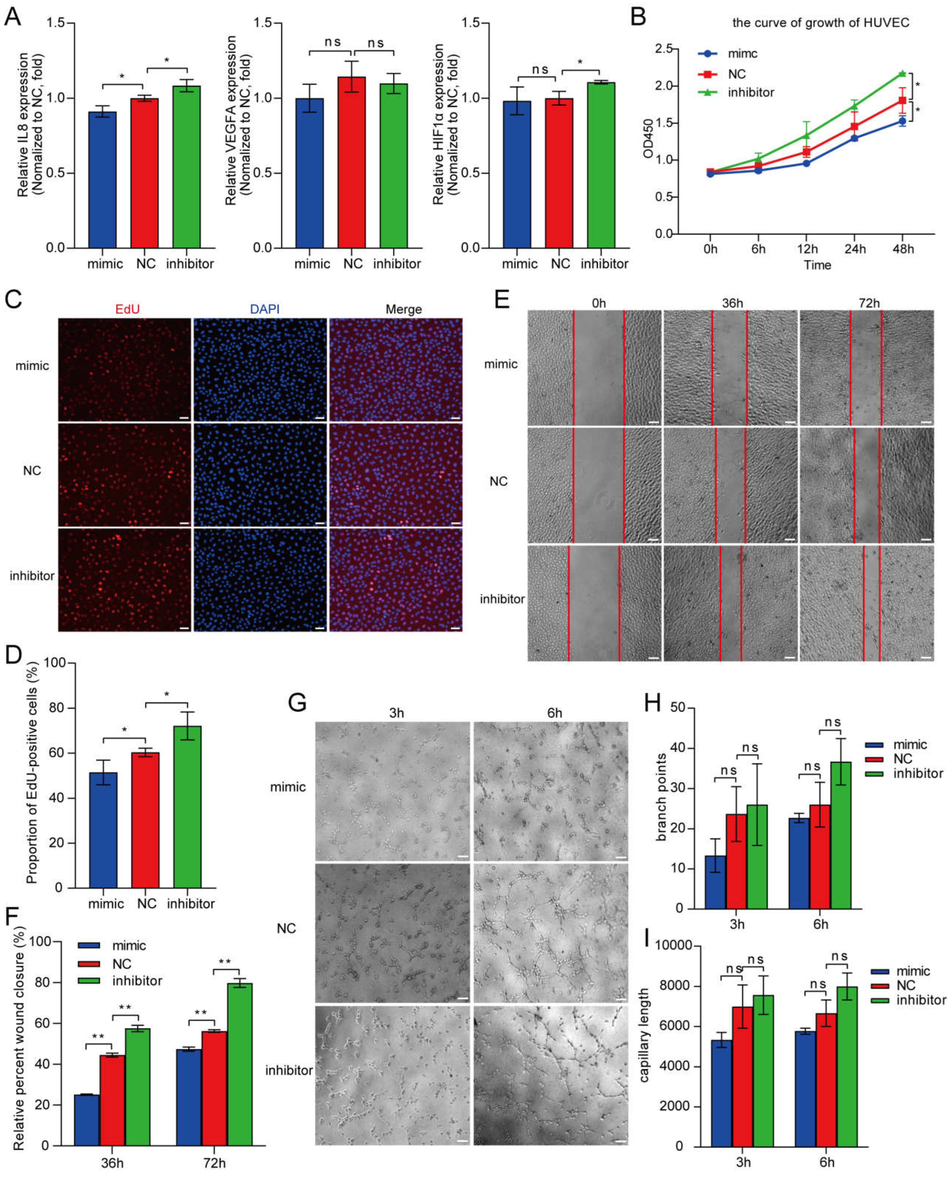 Preprints 109775 g004